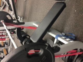 SERIOUS STEEL FITNESS Assisted 41