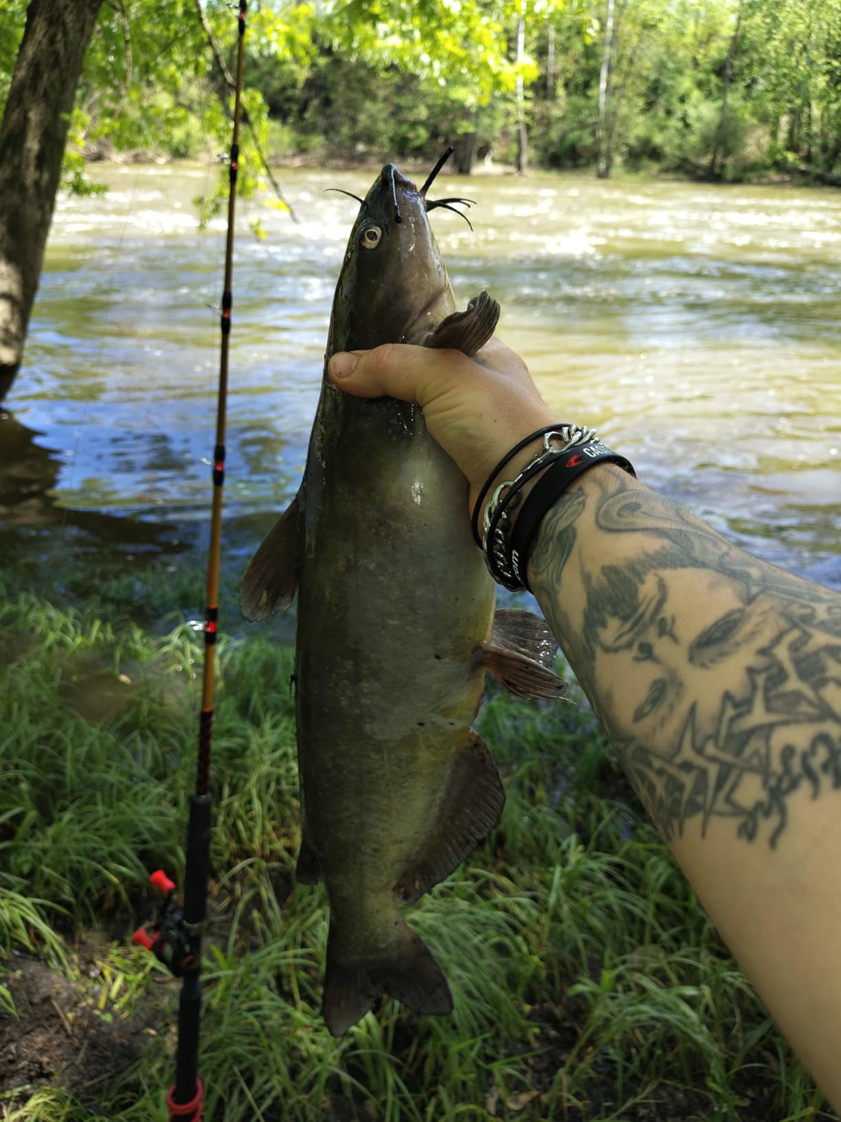 Abu Garcia Max X Low Profile Baitcast Reel customer photo 1