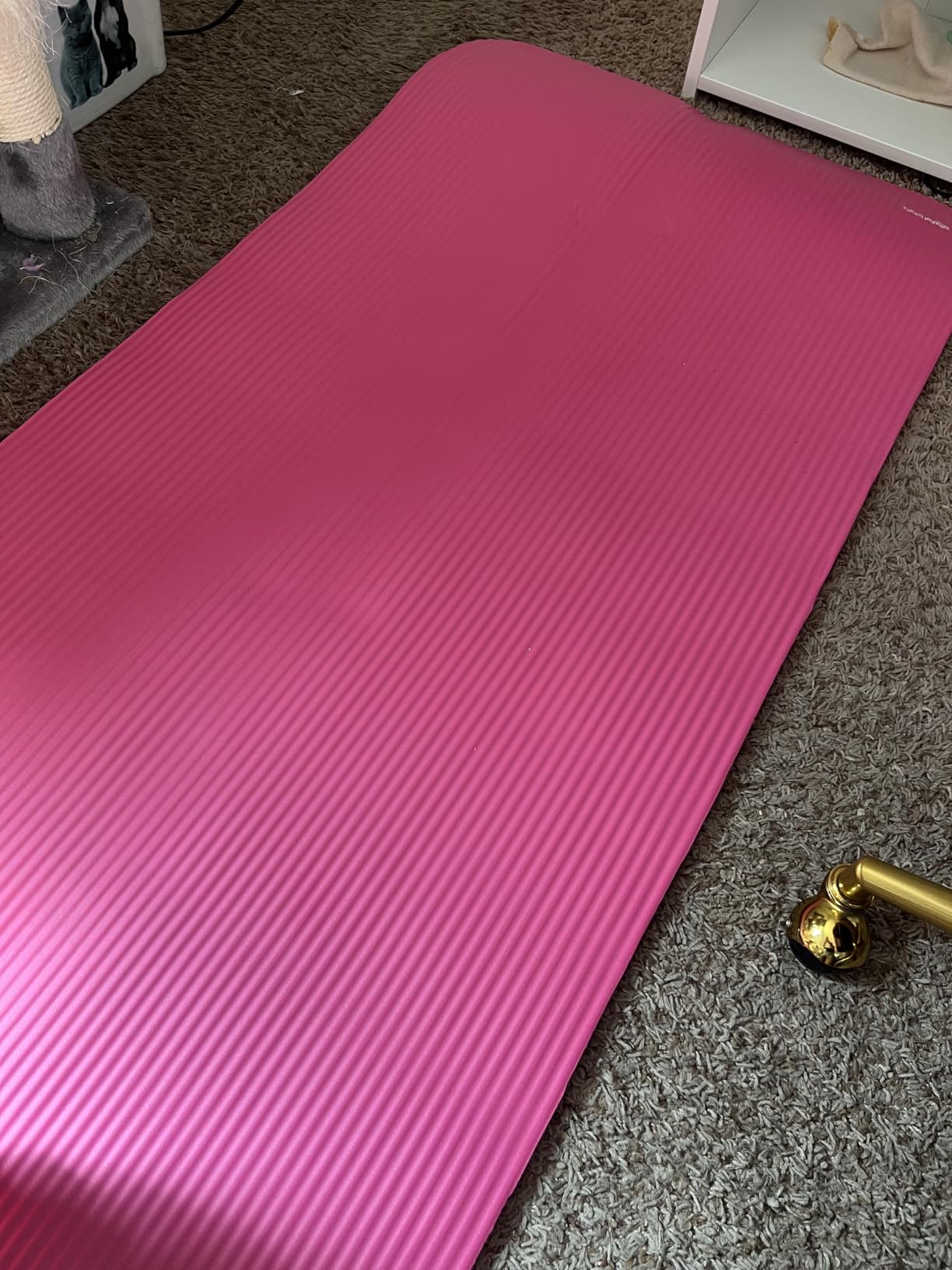 Amazon Basics Extra Thick Exercise Yoga Mat with Carrying Strap customer photo 1