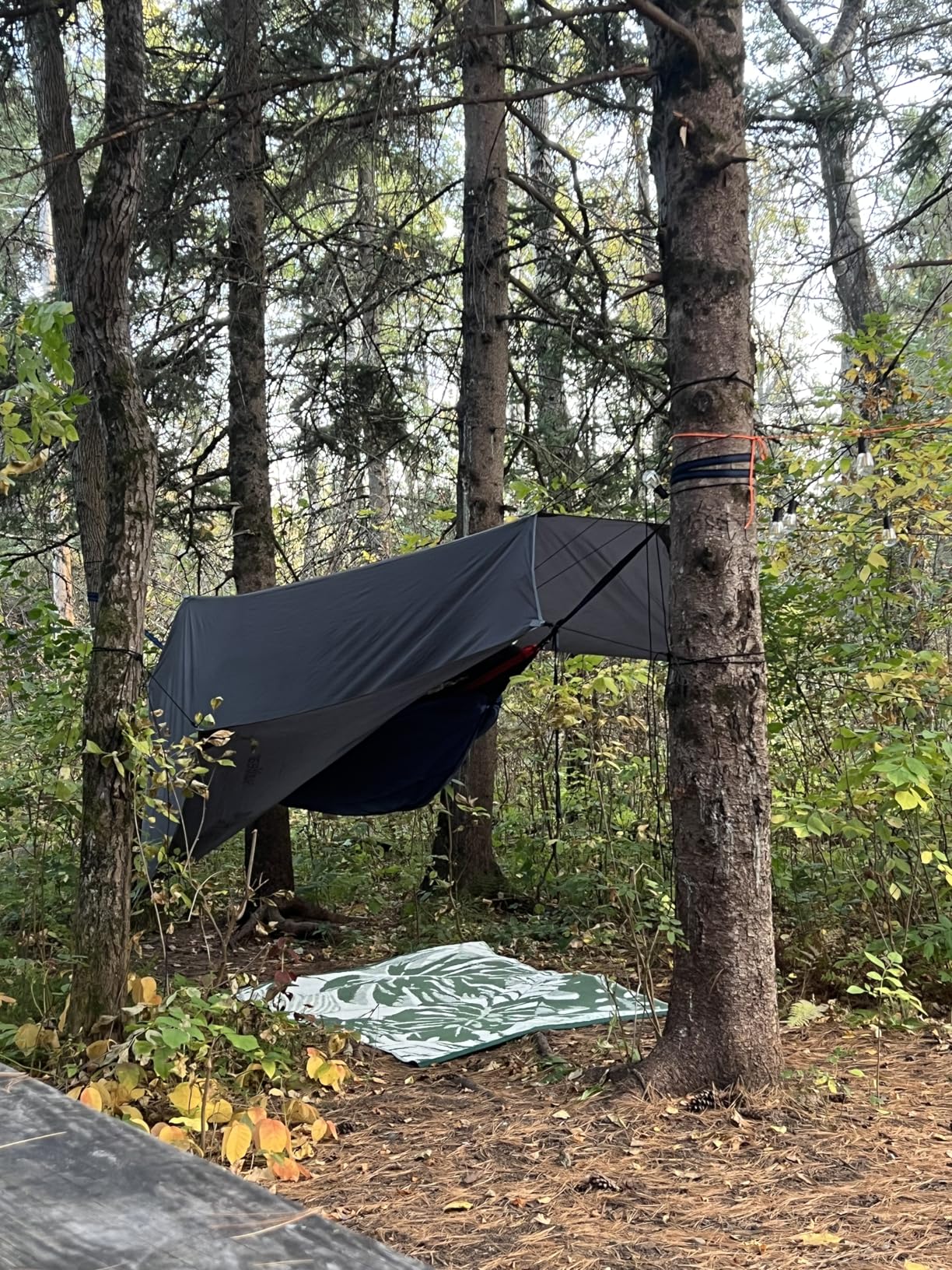 Sunyear Camping Hammock, Portable Single & Double Hammock with Net, 2 Person Hammock Tent with 2 * 10ft Straps, Best for Outdoor Hiking Survival Travel customer photo 2