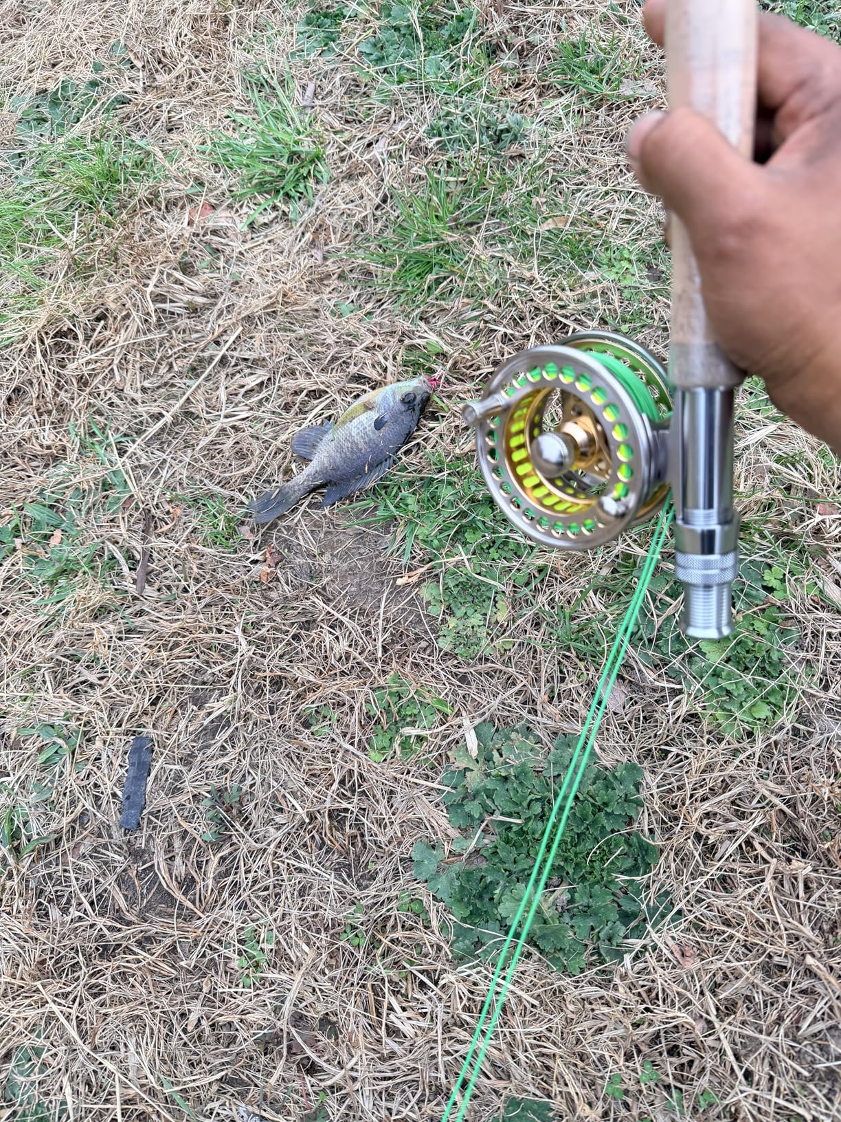 Sougayilang Fly Fishing Rod Reel Combos with Lightweight Portable Fly Rod and CNC-machined Aluminum Alloy Fly Reel, Fly Fishing Complete Starter Package customer photo 1