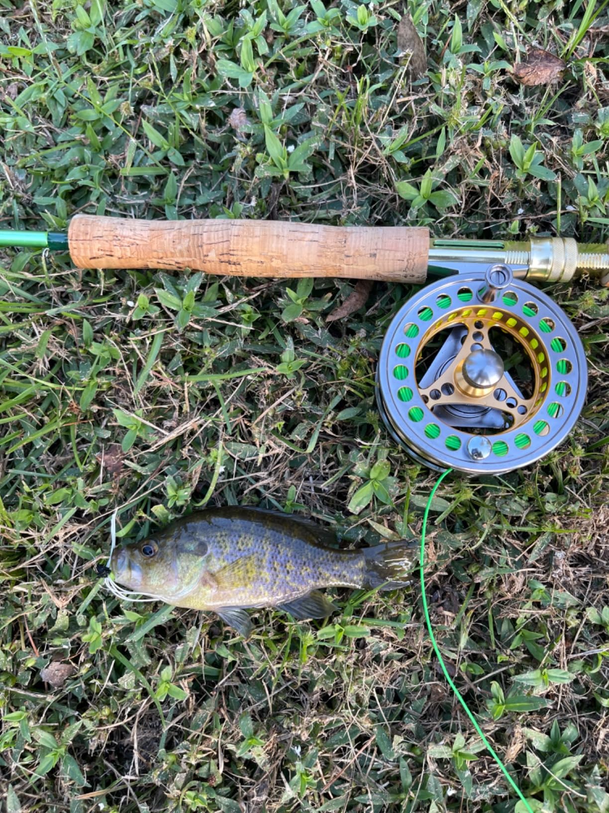 Sougayilang Fly Fishing Rod Reel Combos with Lightweight Portable Fly Rod and CNC-machined Aluminum Alloy Fly Reel, Fly Fishing Complete Starter Package customer photo 2