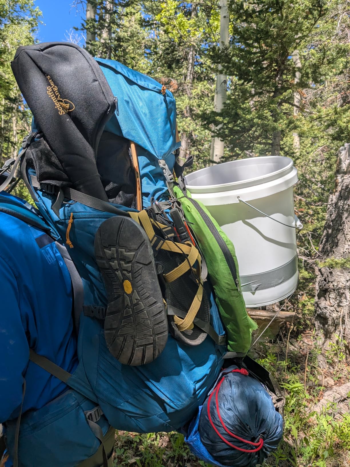 Kelty Coyote 60-105 Liter Internal Frame Backpack - Hiking, Backpacking, Travel, Hydration Compatible, Fully Adjustable (65L / Dark Olive) customer photo 2