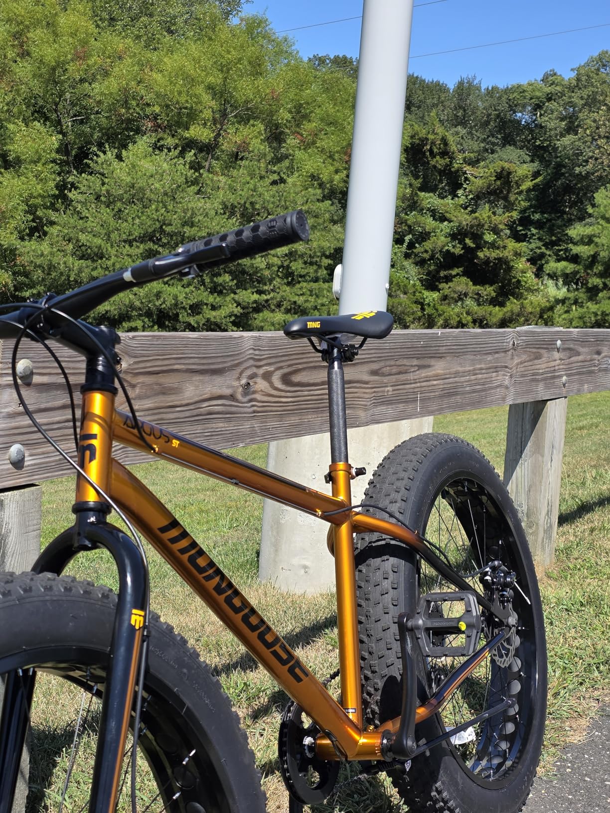 Mongoose Argus Trail or ST Fat Tire Mountain Bike, 20, 24 or 26 Inch Bike for Kids and Adults, 7 or 16 Speed, Aluminum or Steel Frame, Knobby Mountain Fat Tires, Mechanical Disc Brakes customer photo 1