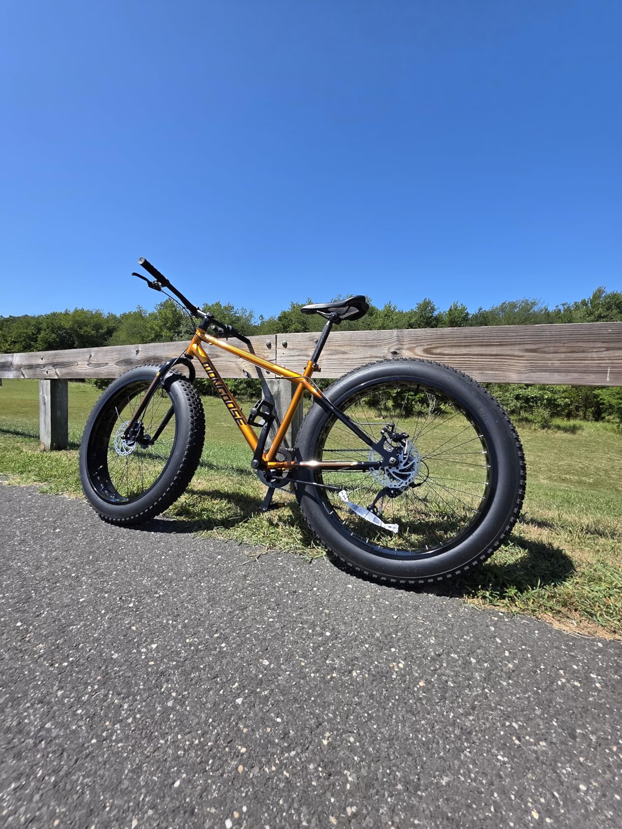 Mongoose Argus Trail or ST Fat Tire Mountain Bike, 20, 24 or 26 Inch Bike for Kids and Adults, 7 or 16 Speed, Aluminum or Steel Frame, Knobby Mountain Fat Tires, Mechanical Disc Brakes customer photo 2