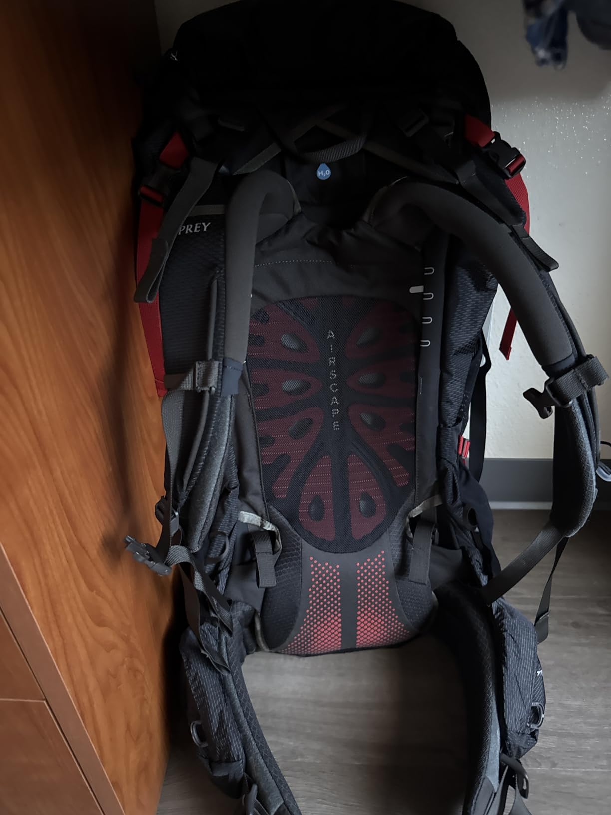 Osprey Aether Plus 70L Men's Backpacking Backpack, Black, L/XL customer photo 1