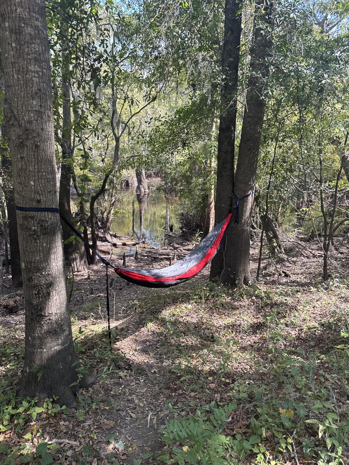 Camping Hammock with Net,Travel Portable Lightweight Hammocks with Tree Straps and Solid D-Shape Carabiners,Parachute Nylon Hammock for Outsides Backpacking Beach Backyard Patio Hiking customer photo 1