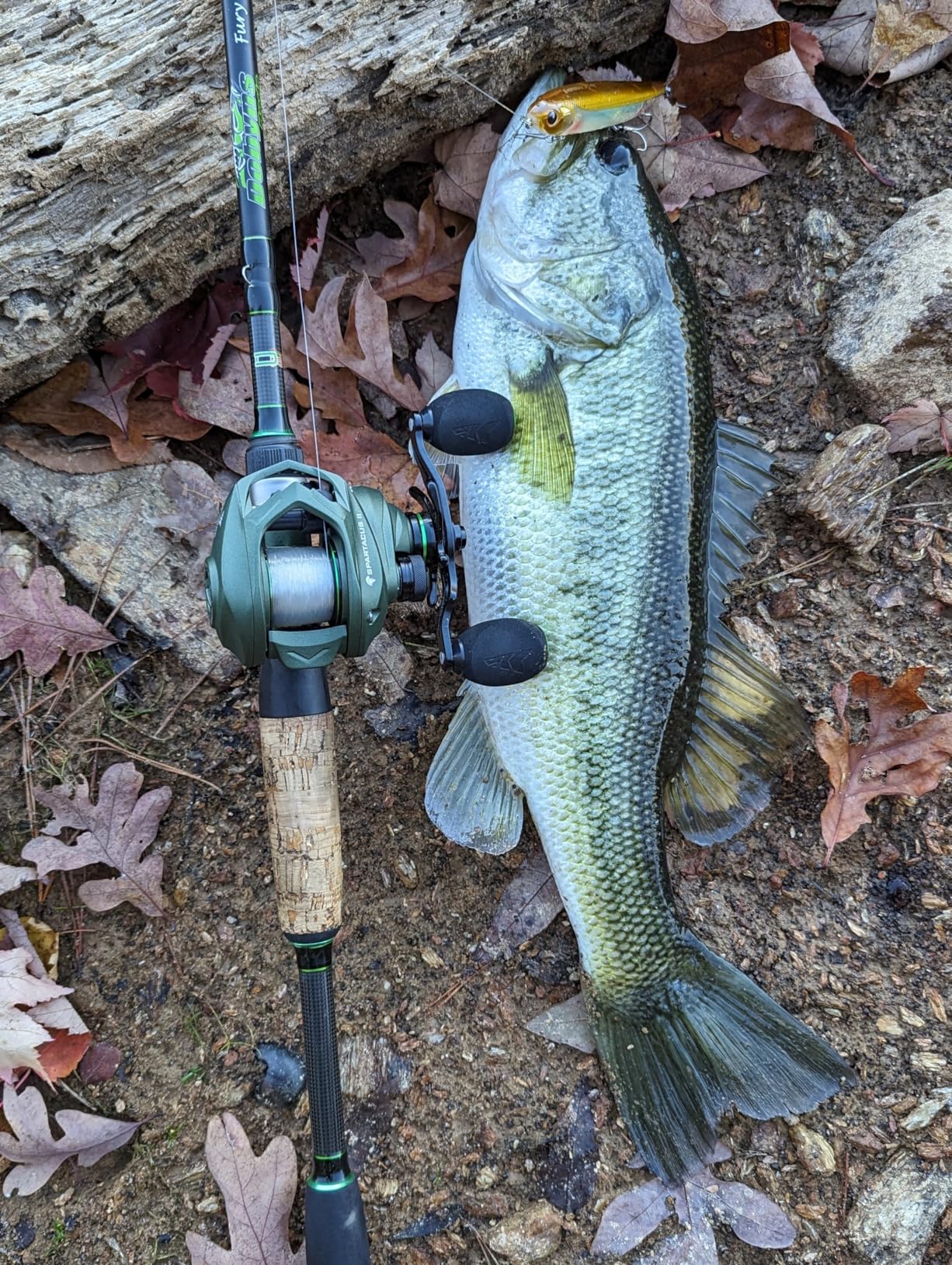 KastKing Spartacus II Baitcasting Fishing Reels with 7.2:1 Gear Ratio | Max Drag: 17.6 lb, 7+1 BB, 6 oz, Graphite Frame, 5-Button Magnetic Brake, Ultralight and Super Smooth customer photo 2