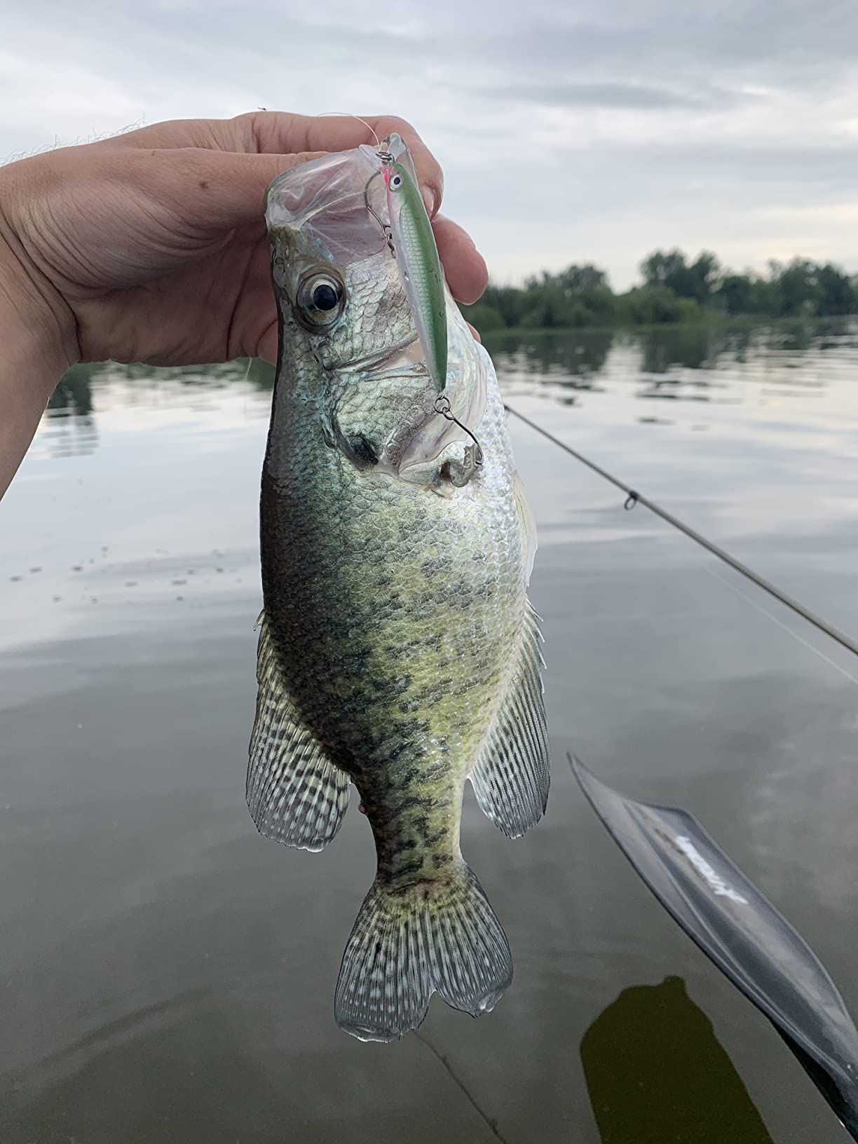 St. Croix Rods Panfish Series Spinning Rod, PNS, Durably Sensitive, Expertly Crafted customer photo 2
