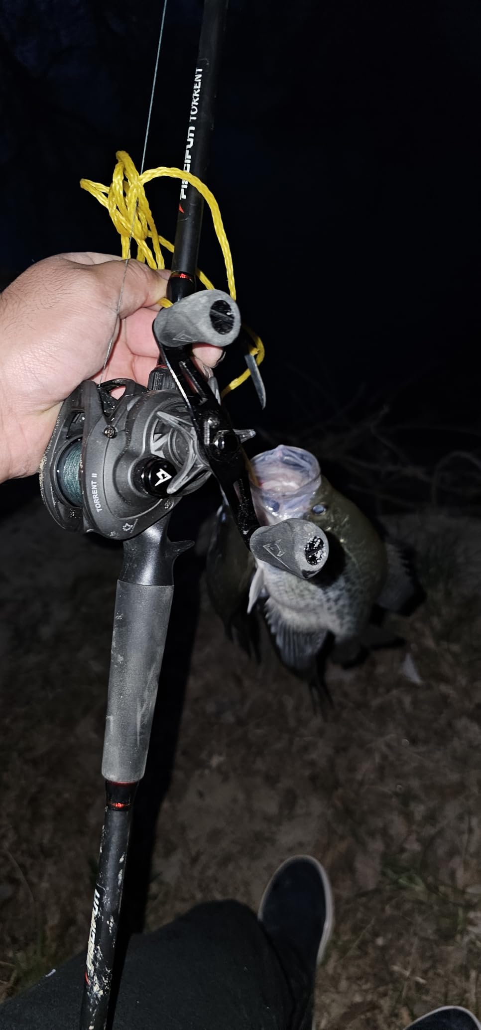 Piscifun Torrent II Baitcasting Fishing Reel, 20LB Carbon Fiber Drag Baitcasters, 6.6:1/8.1:1 Gear Ratio & Magnet Braking System Low Profile Casting Reel, Left/Right Handed customer photo 2