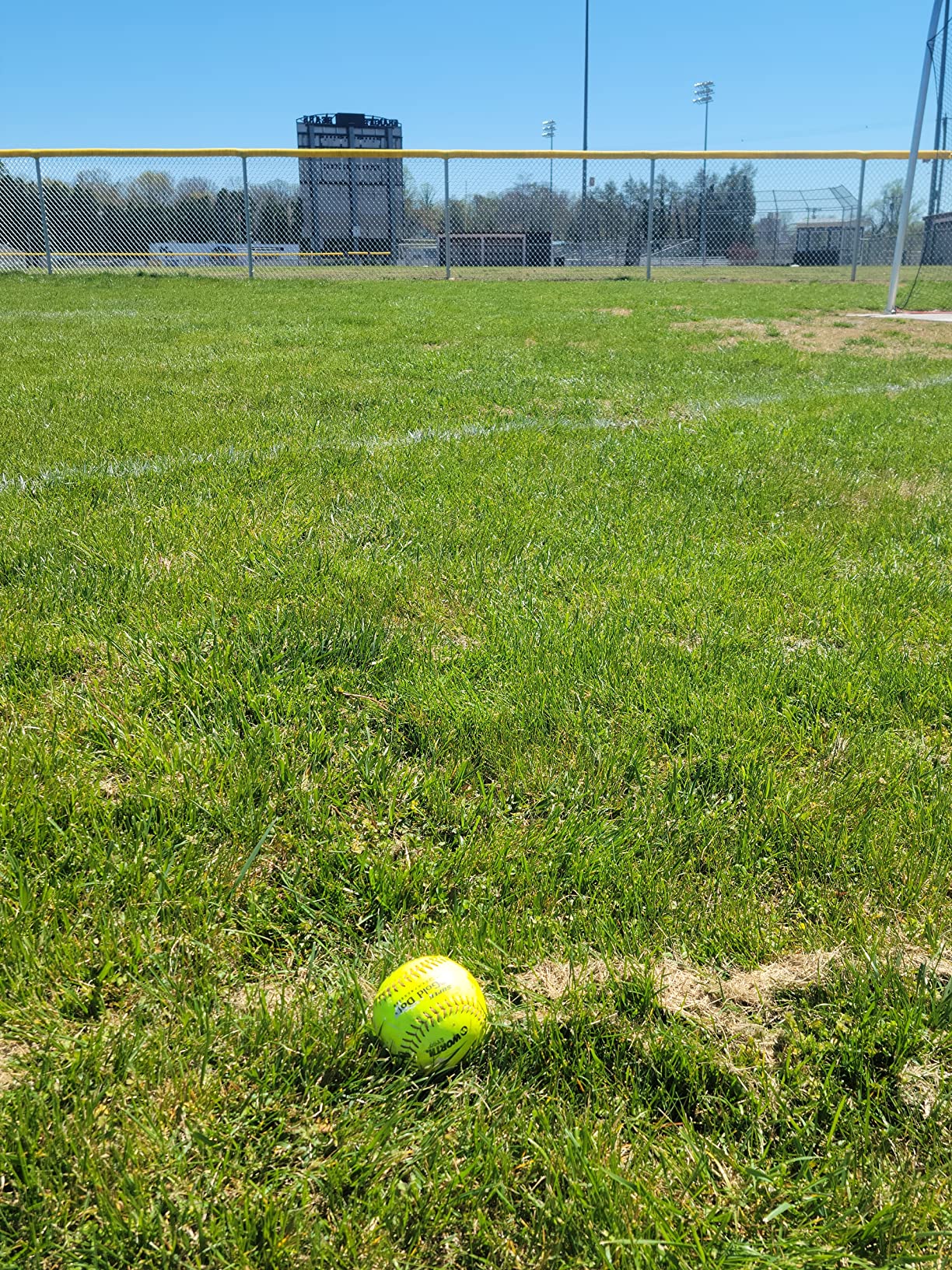 Rawlings Mantra+ Fastpitch Softball Bat | -10 Drop | 2 Pc. Composite | Approved for All Fields customer photo 1