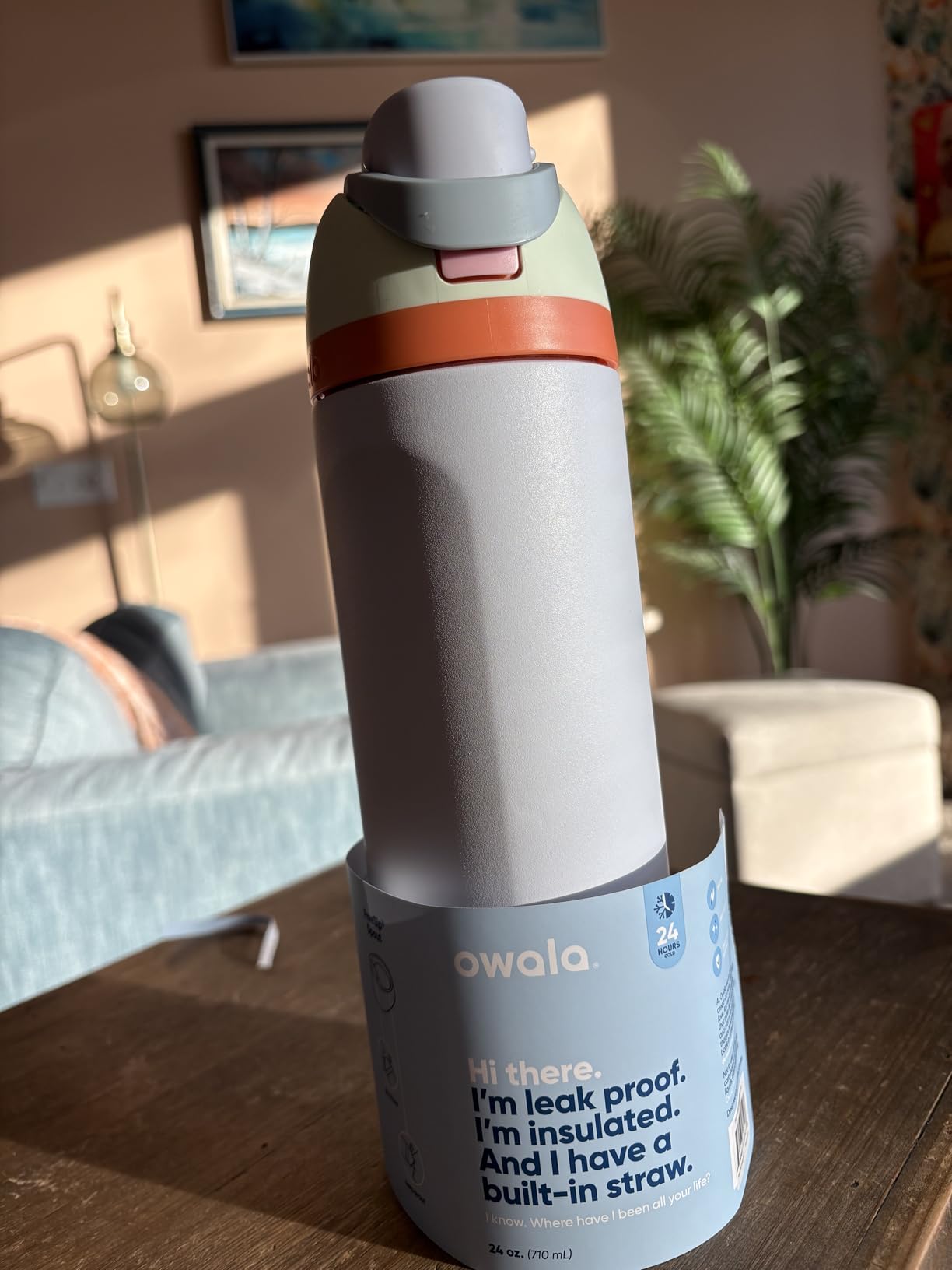 Owala FreeSip Insulated Stainless Steel Water Bottle with Straw for Sports, Travel, and School BPA-Free, 24 oz, Dreamy Field customer photo 2