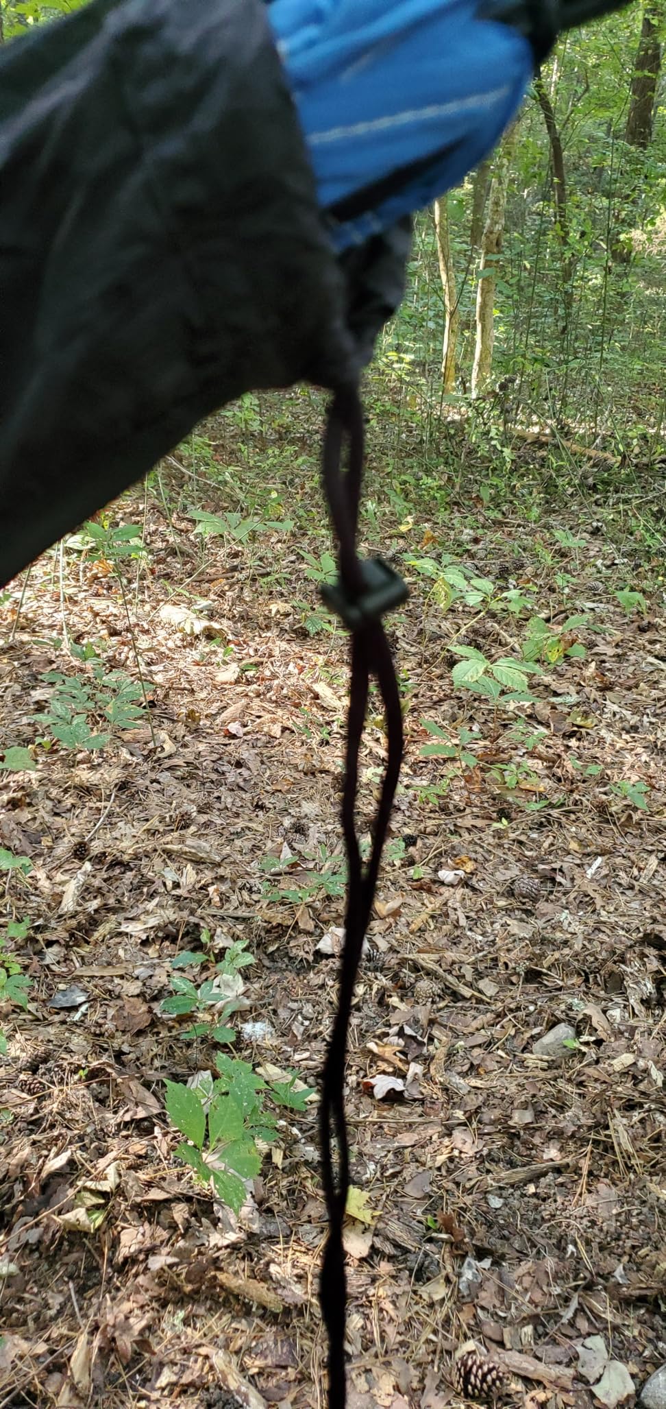 Wise Owl Outfitters Hammock Bug Net - Mosquito Net for Hammock, Lightweight Bug Netting for Camping, Hiking, Backpacking, Forest & Outdoor Use customer photo 1