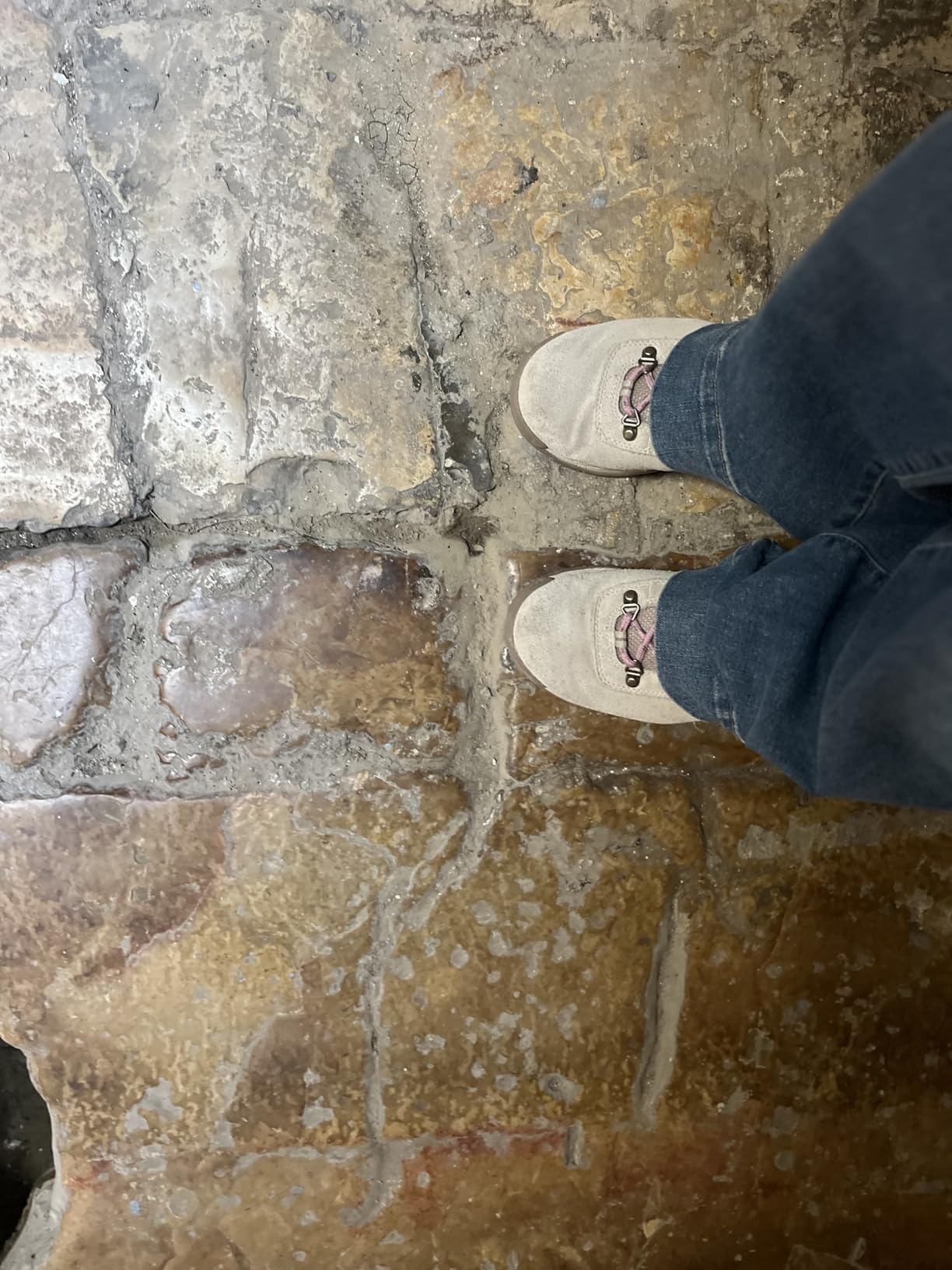 Columbia Women's Newton Ridge Plus Waterproof Amped customer photo 2