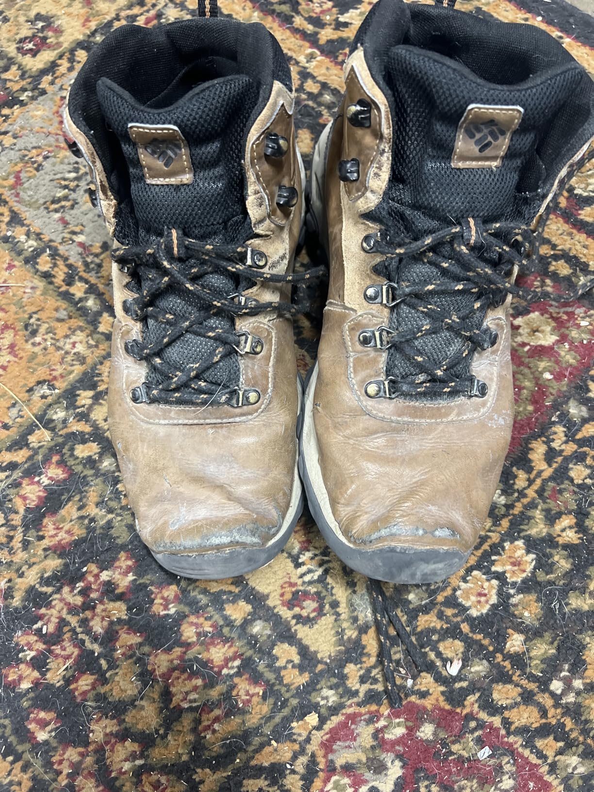 Columbia Men's Newton Ridge Plus II Waterproof Hiking Shoe customer photo 2