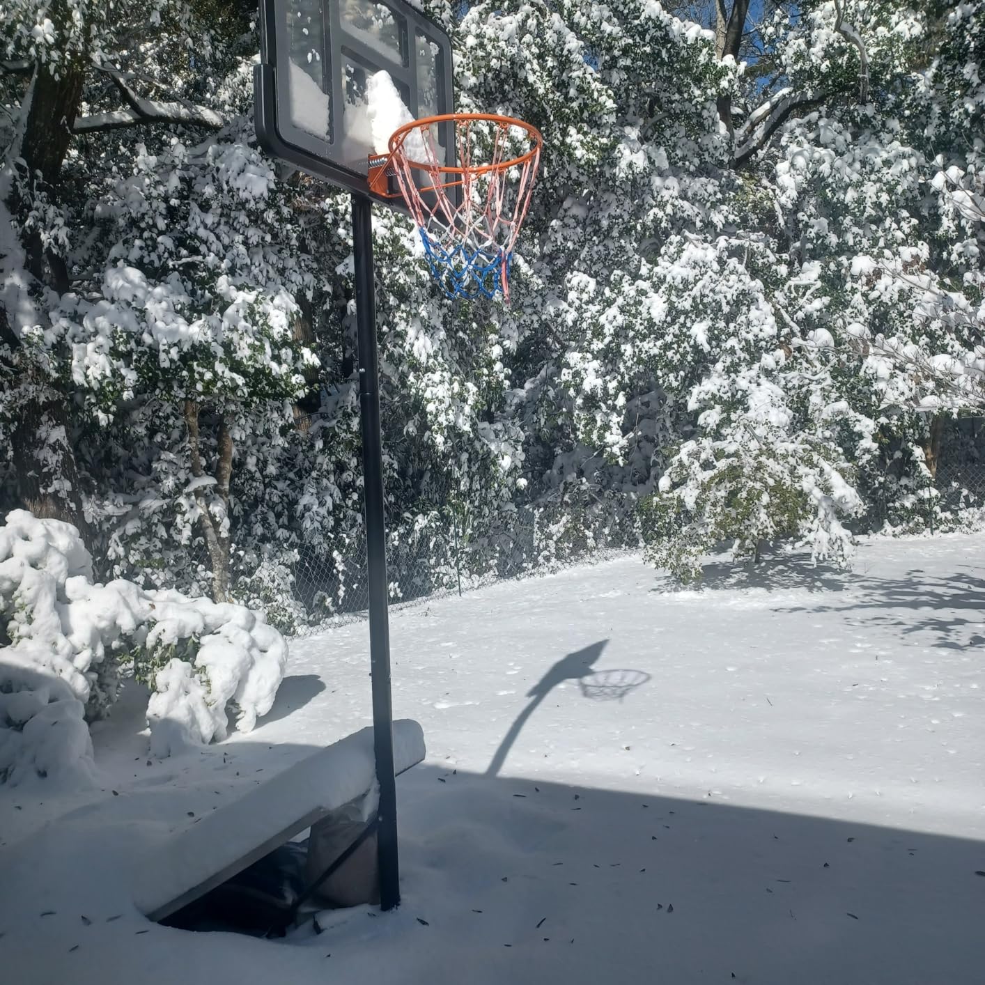 IGL Portable Basketball Hoop, 5.6-10FT Adjustable Basketball Goal System, 44 Inch Outdoor Basketball Hoop & Goals for Kids, Youth, and Adults in The Backyard, Driveway with PC Backboard customer photo 1