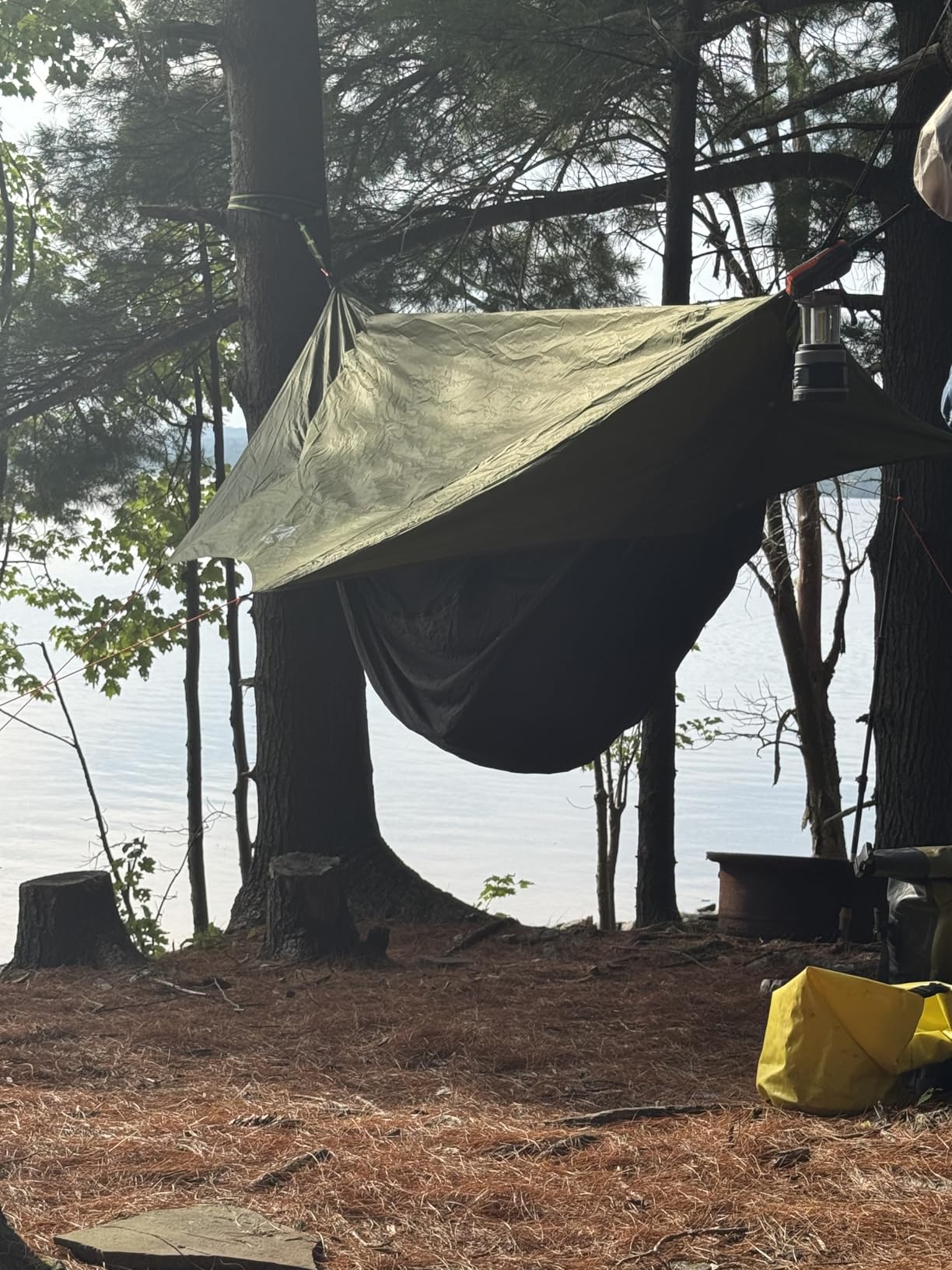 Night Cat Camping Hammock Tent: Lightweight Portable 4 in 1 Hammock with Rain Tarp and Mosquito Net for Hiking Jungle Outdoor customer photo 2