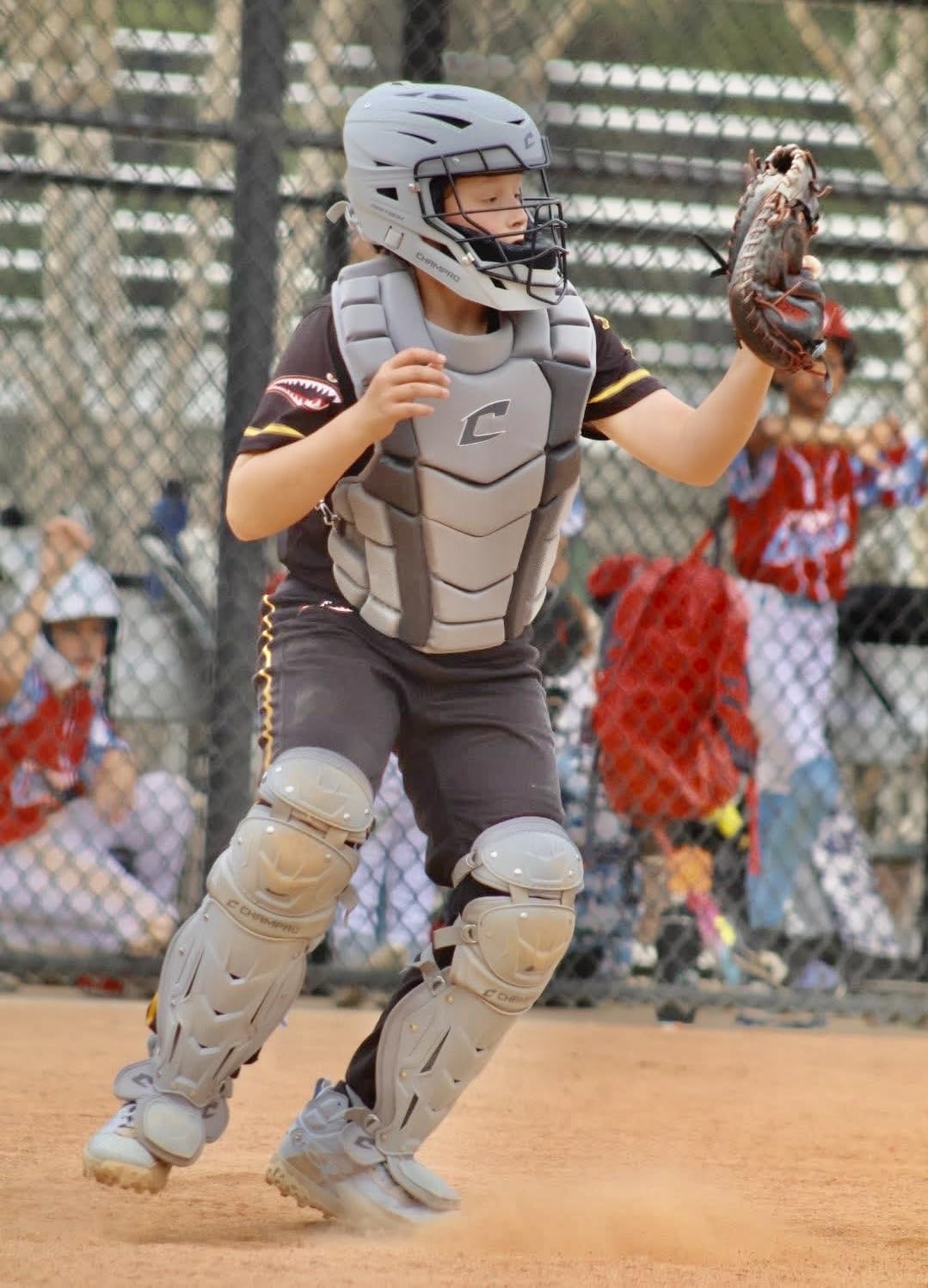 Champro Optimus Champion Plus Catcher's Kit customer photo 2