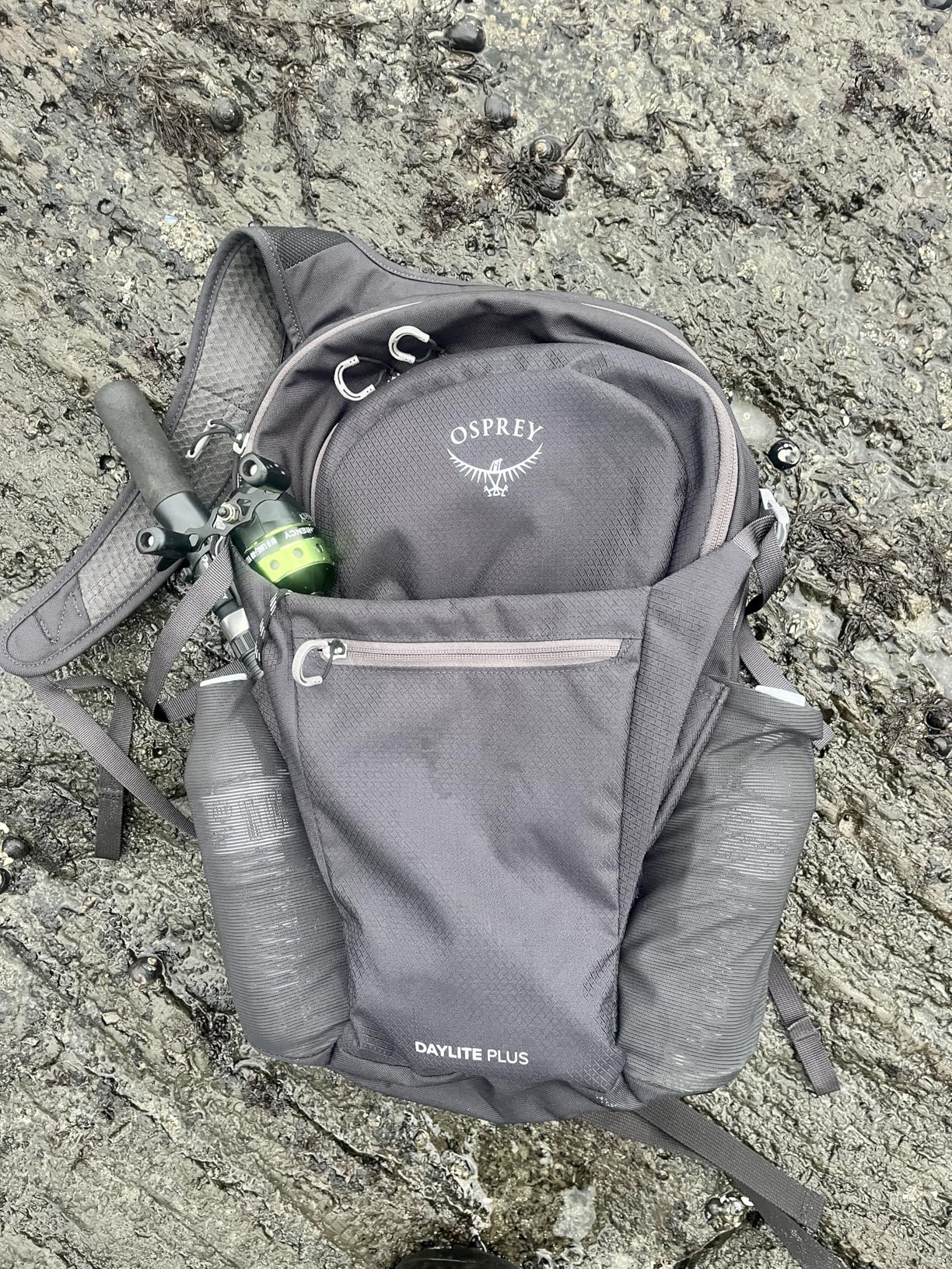 Osprey Daylite Plus Commuter Backpack - Lightweight, Everyday Pack with Laptop Sleeve and Water Bottle Pockets - Ideal for Work, School, and Travel with Versatile Storage Options, Wander Yellow customer photo 2