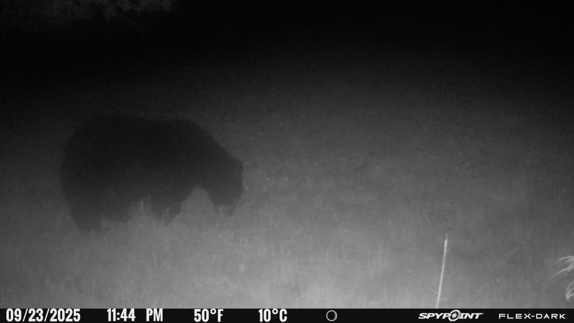 SPYPOINT Flex-Dark Twin Pack Cellular Trail Camera, 40MP Photos, 1080p Video + Sound, No-Glow Game Camera, Hunting Night Vision, Motion Activated,100ft Detection, No WiFi Needed Trail Cam customer photo 1