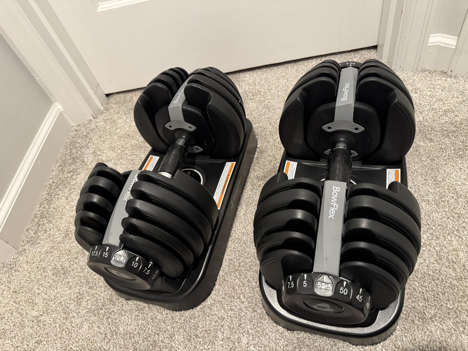 BowFlex Results Series SelectTech Dumbbells customer photo 2