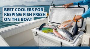 Best Coolers for Keeping Fish Fresh on the Boat
