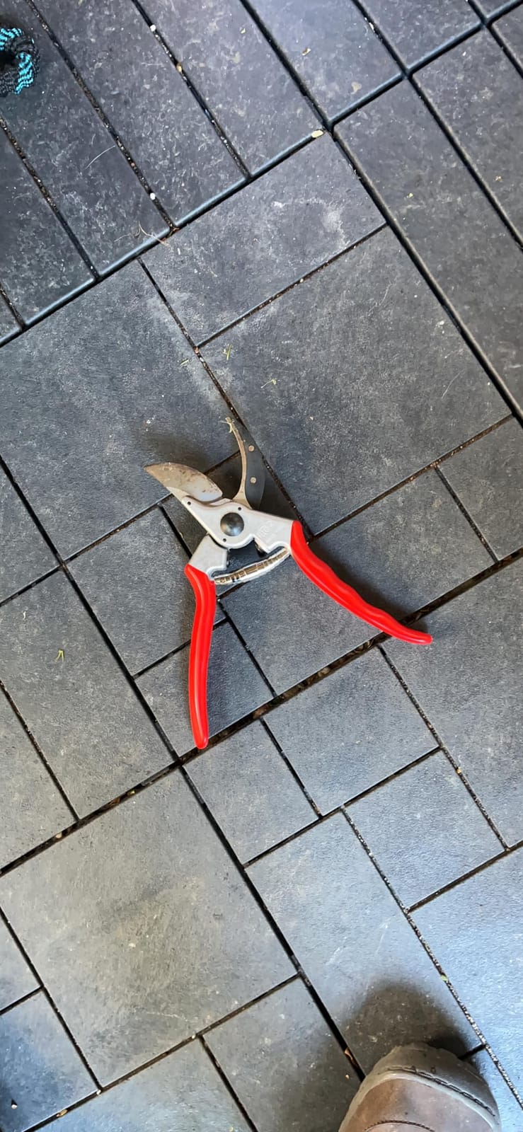 Felco F2 Pruning Shears - 9.25