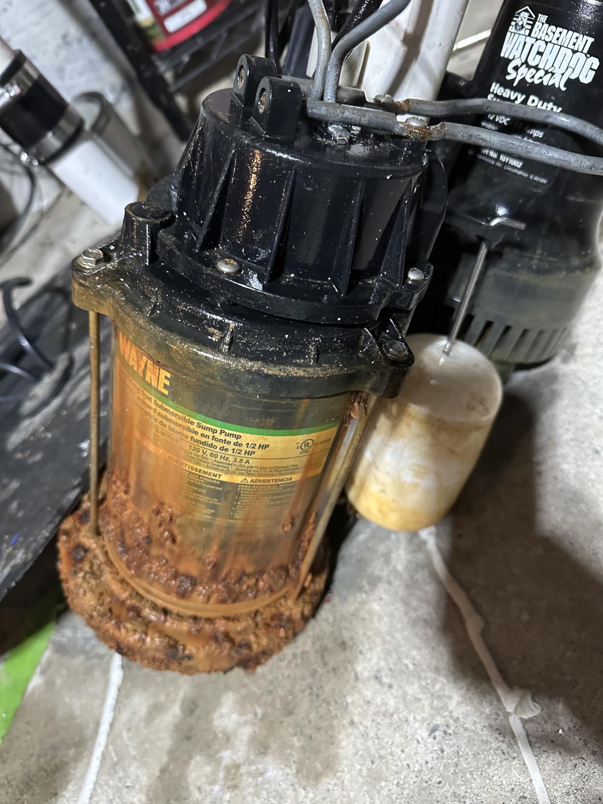 WAYNE CDU800 1/2 HP Submersible Sump Pump - Cast Iron & Stainless Steel, Vertical Float Switch, 5,100 GPH, 3-Year Warranty customer photo 2