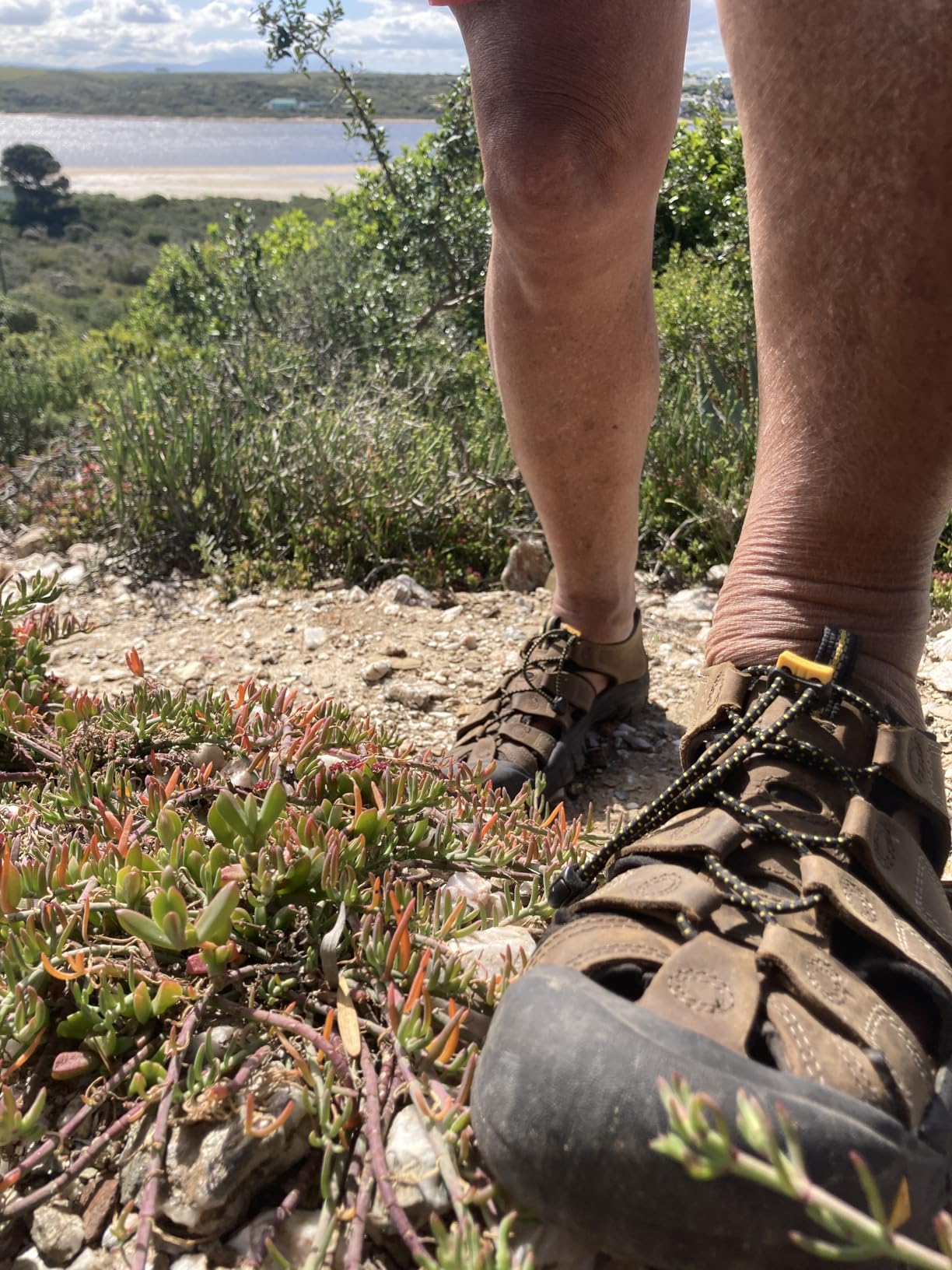 KEEN Newport Leather Sandals customer photo 2
