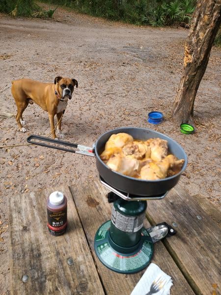 Coleman Bottletop Propane Stove, 7,650 BTU Camping Cooker customer photo 2