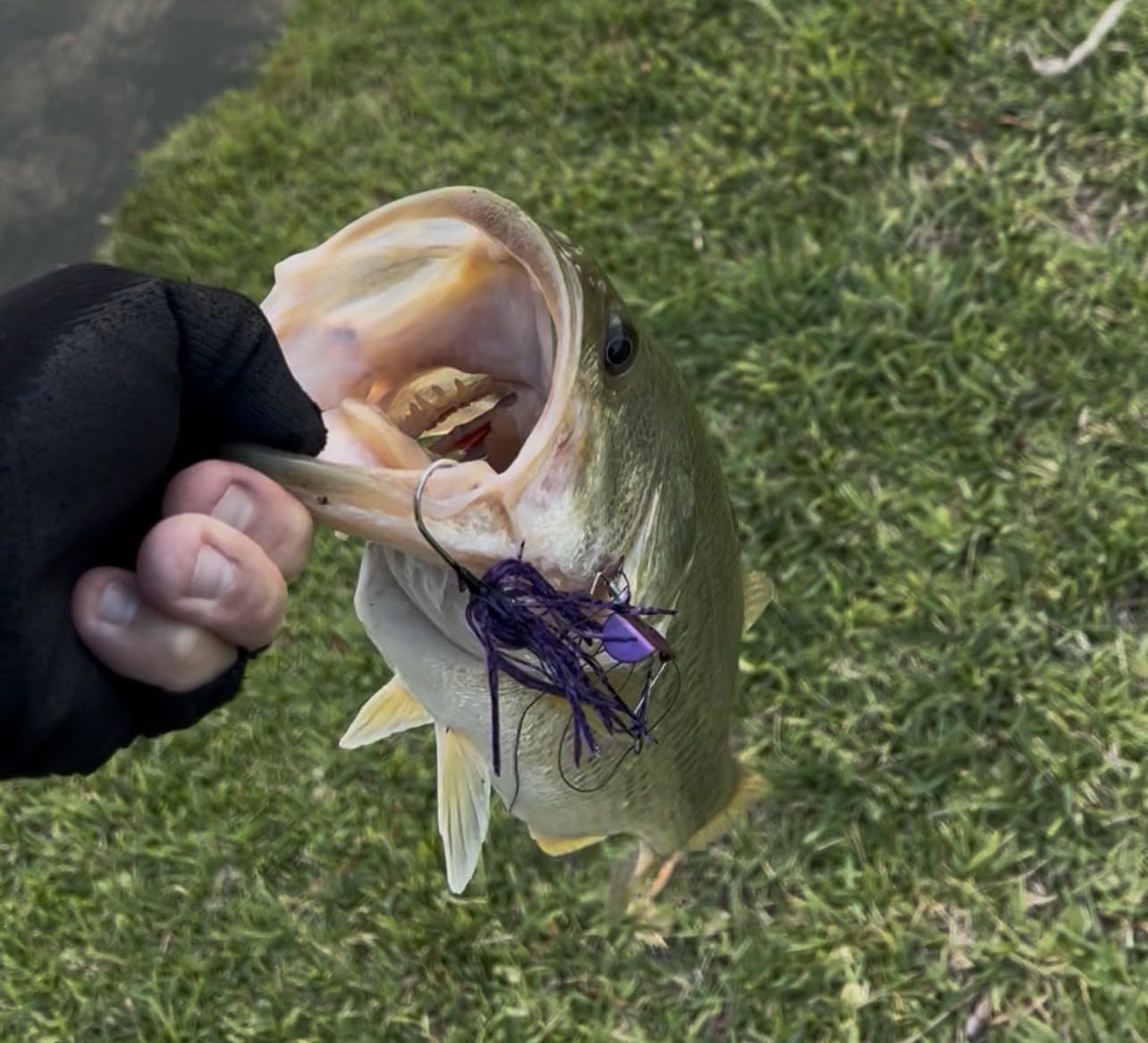 BOOYAH Pond Magic Small-Water Spinner-Bait Bass Fishing Lure customer photo 2