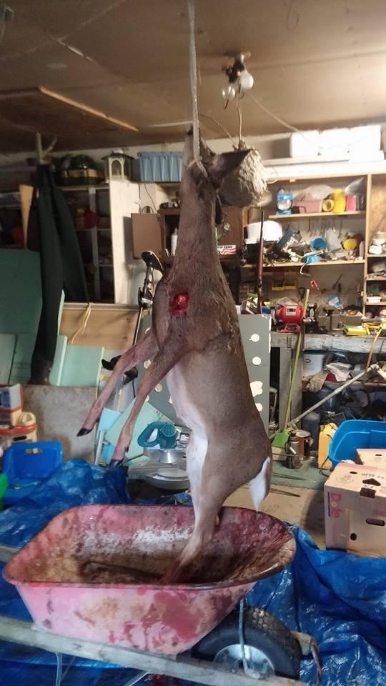 Grim Reaper Fixed & Mechanical Broadheads 100 & 125 Grain Hunting customer photo 2
