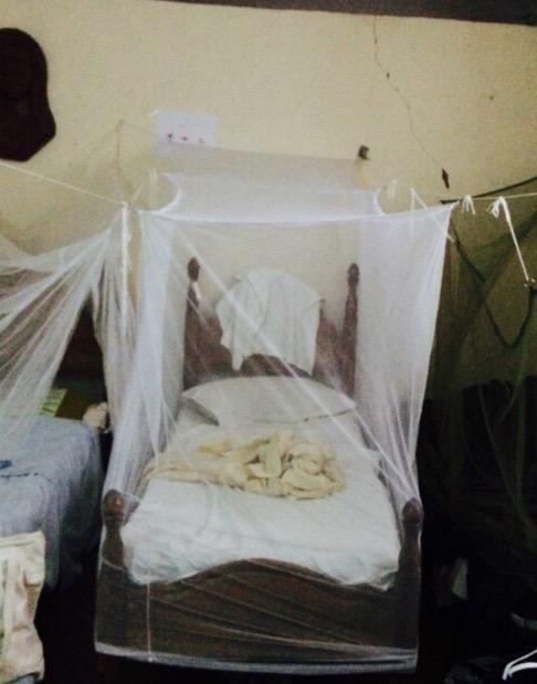 Coghlan's Rectangular Mosquito Net - Lightweight Mesh Canopy for Camping, Travel, and Outdoor Use - Includes Tie Loops, Carry Bag, Twine, Hooks, Anchors, Nails - White, 78