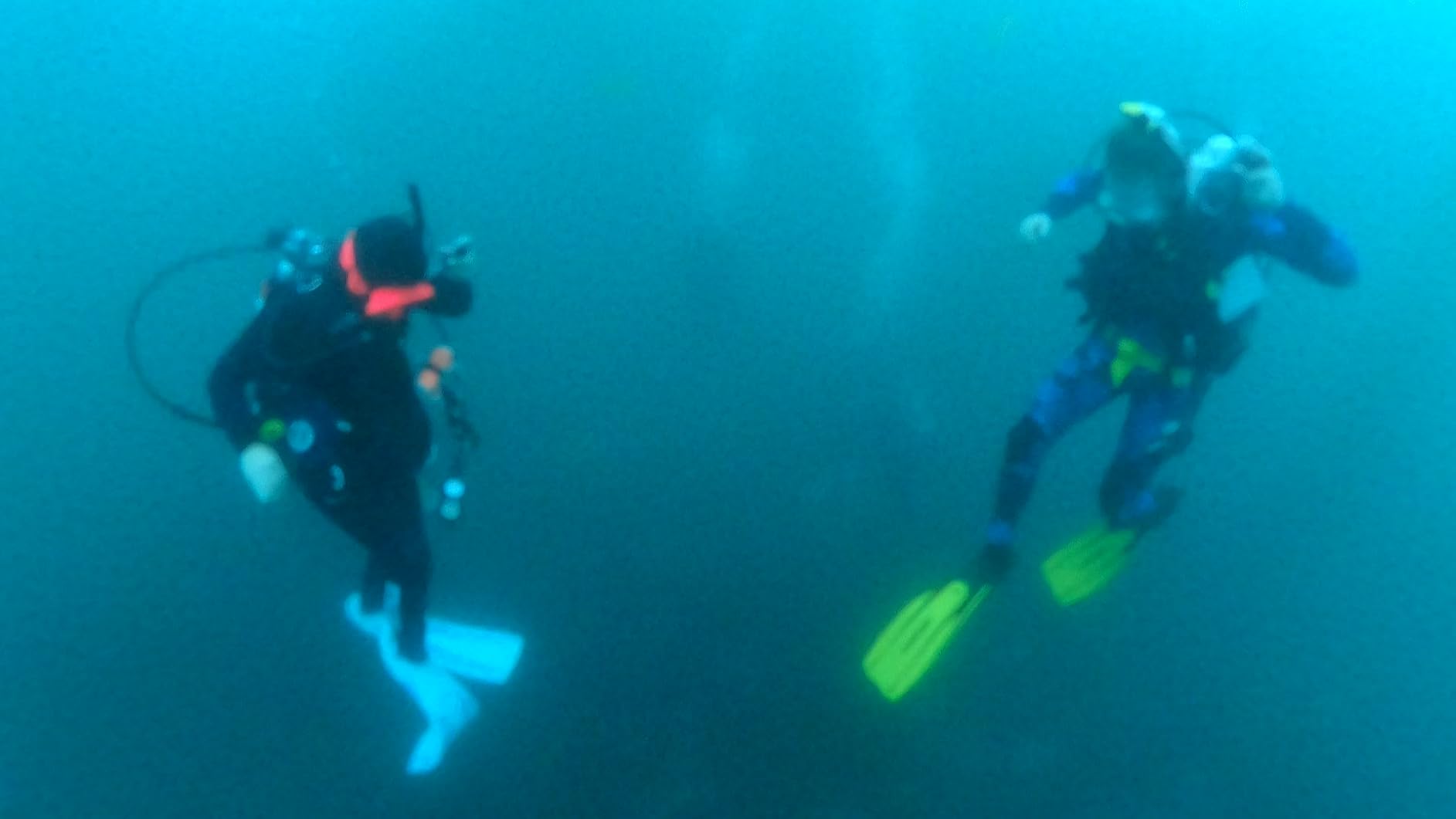 Cressi Lightweight Well-Balanced Open Heel Scuba Diving Fins - Pro Light: Made in Italy customer photo 1
