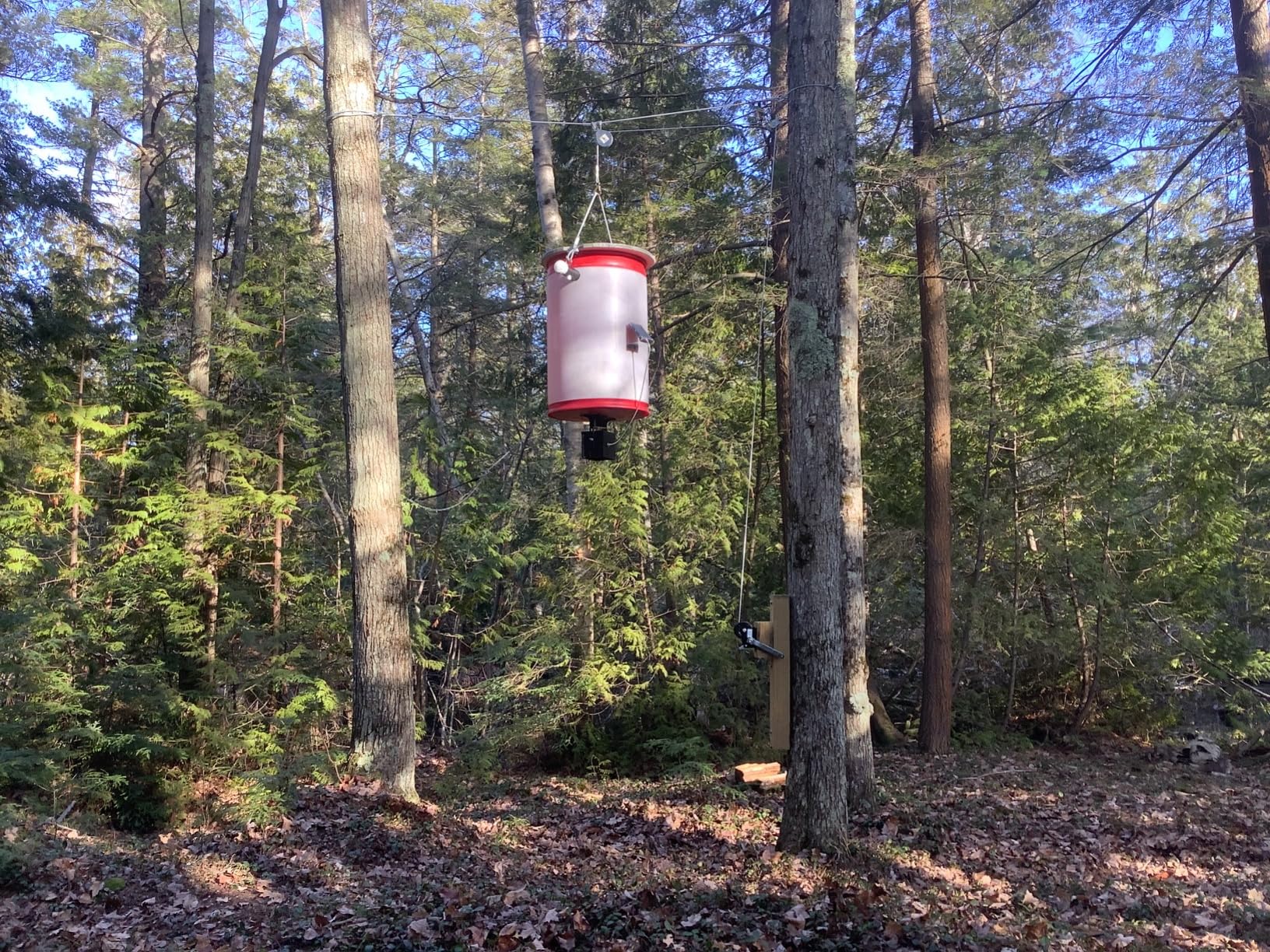 WILDGAME INNOVATIONS Trophy Hunter 6V Digital Feeder Kit customer photo 1