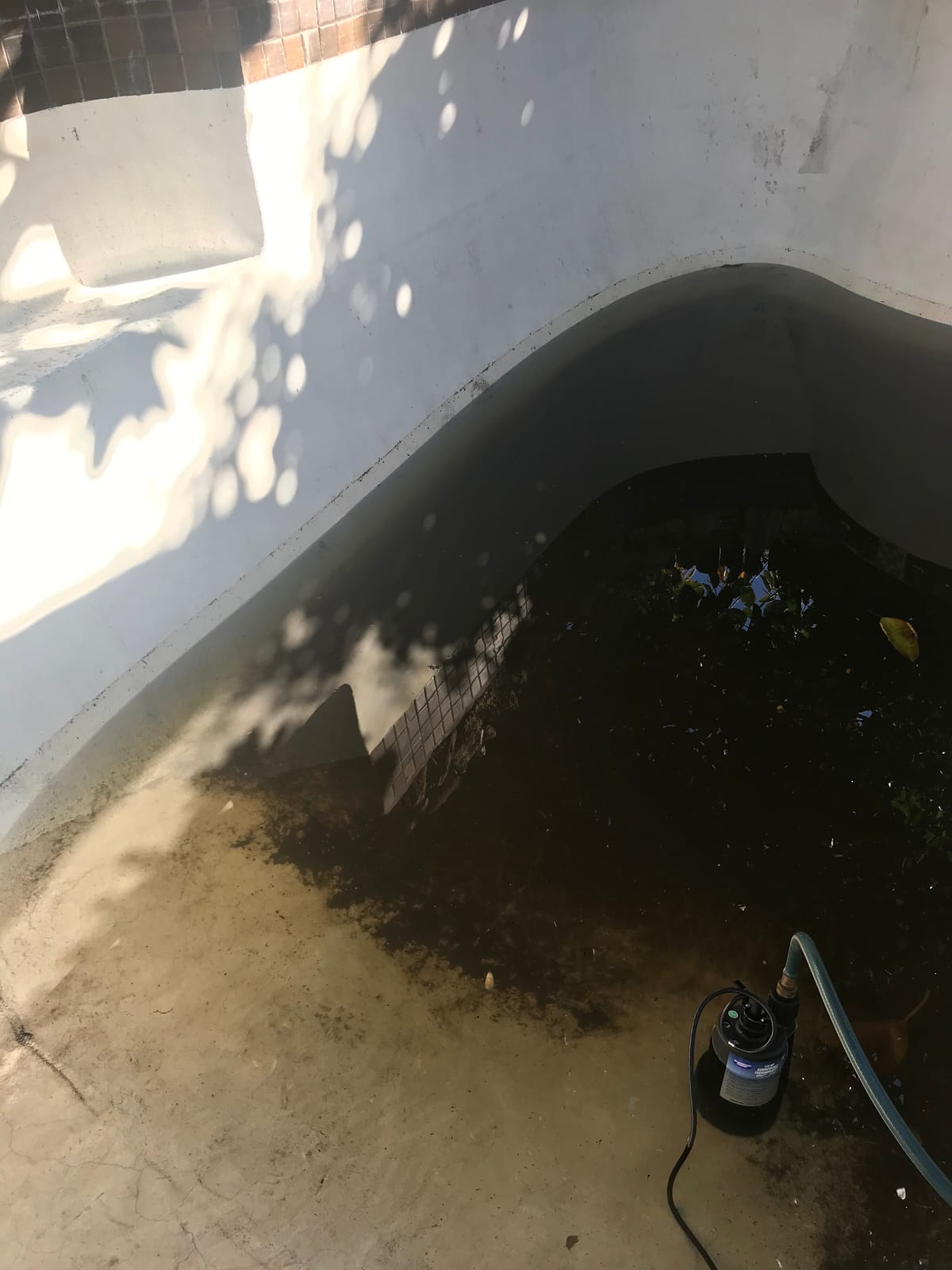 Superior Pump 91250 1800GPH Thermoplastic Submersible Utility Pump with 10-Foot Cord, 1/4 HP customer photo 2