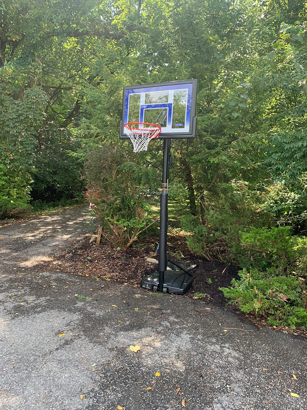 Lifetime Outdoor Portable Basketball Hoop, 48 Inch Backboard, 8-10 Ft Speed Shift Adjustable Height customer photo 2