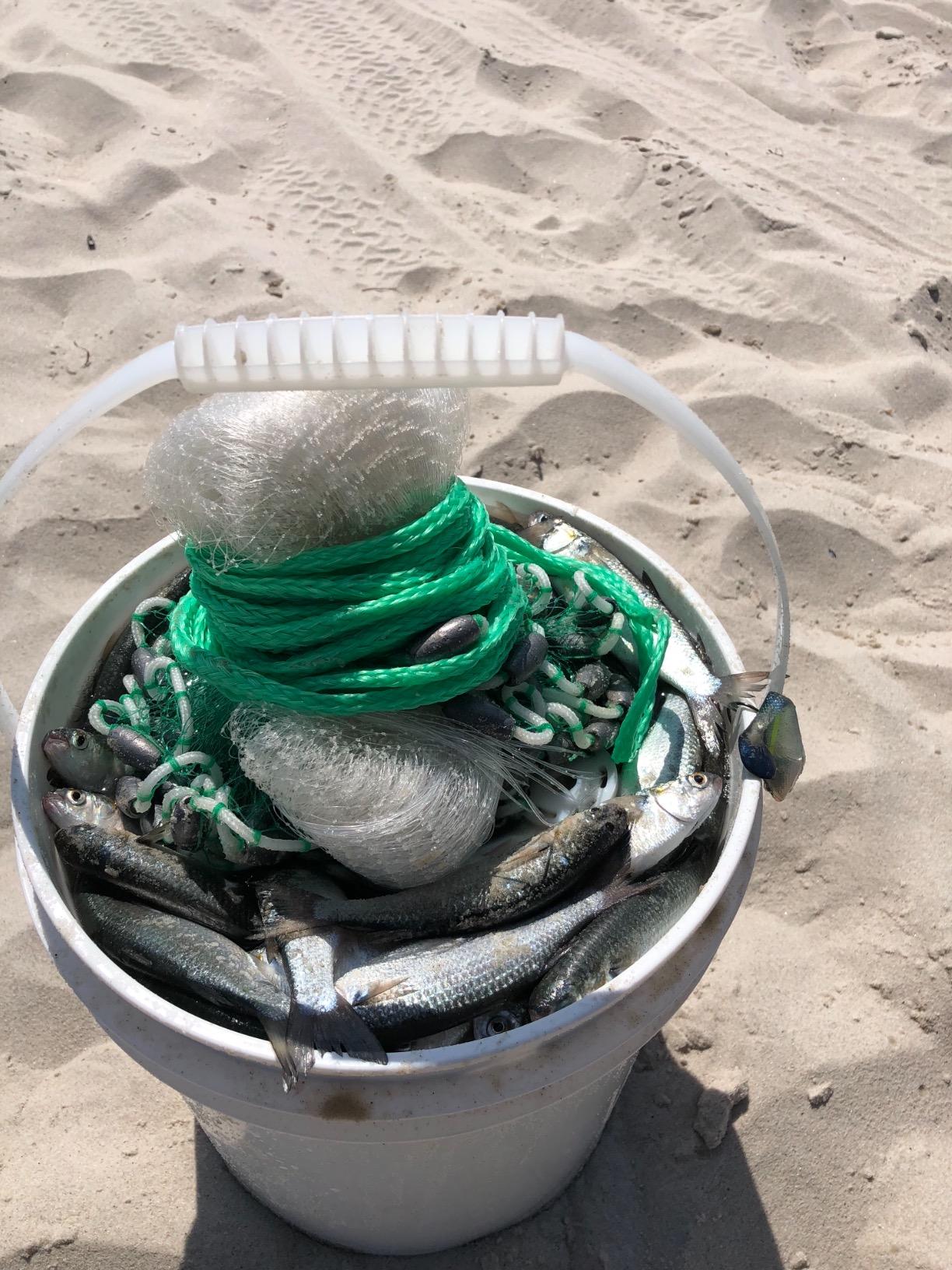 Betts Old Salt Premium Cast Net for Bait Fish with Utility Box customer photo 1