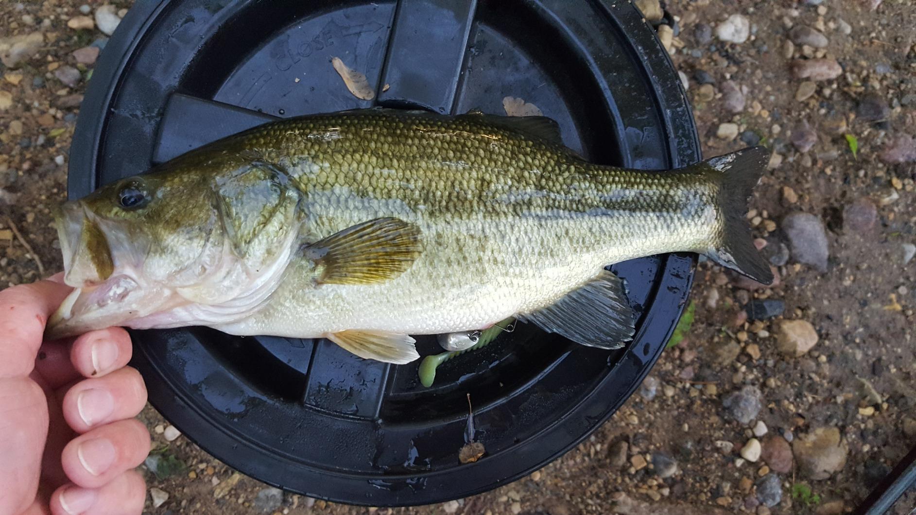 Rapala X-Rap Jerkbait XR10 Fishing Lure customer photo 1