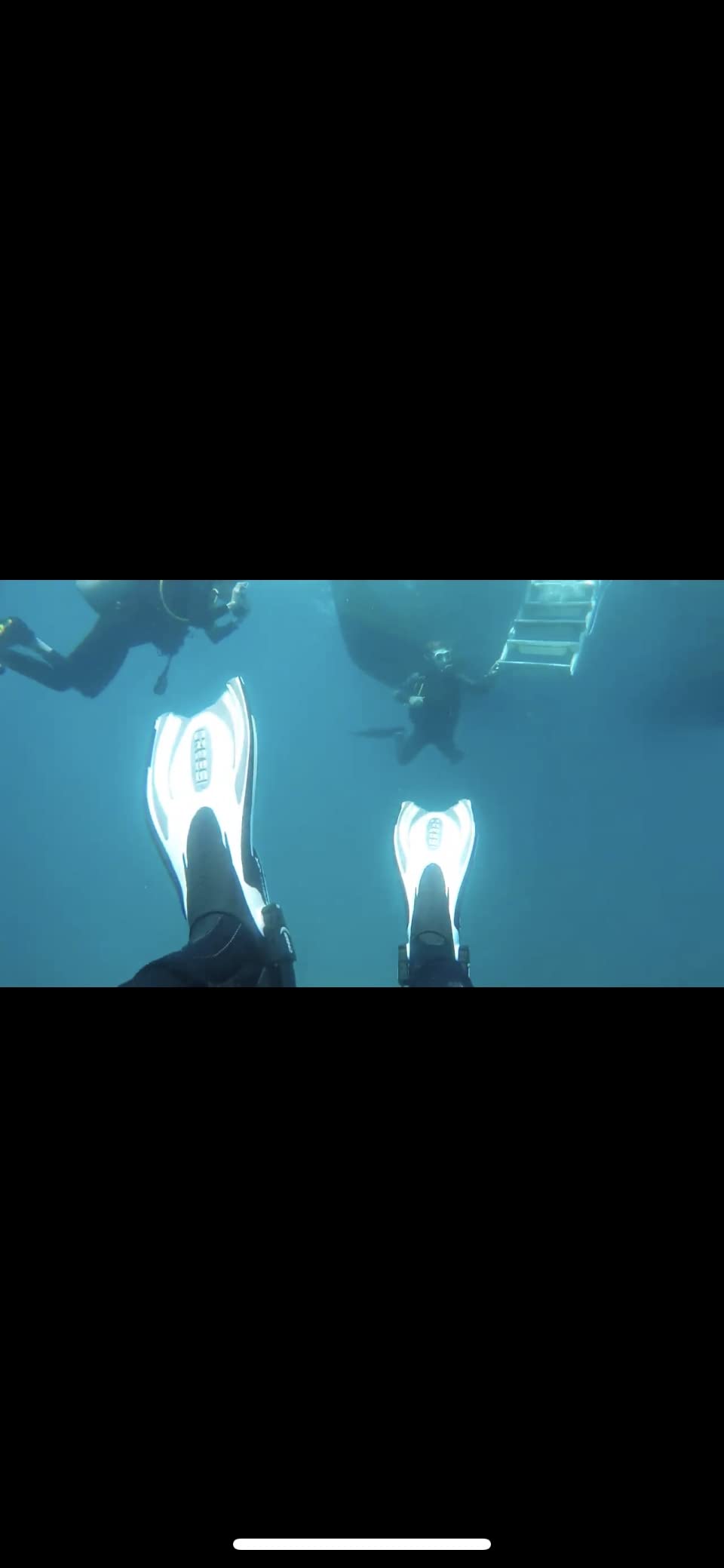 Cressi Adult Powerful Efficient Open Heel Scuba Diving Fins | Frog Plus: made in Italy customer photo 2