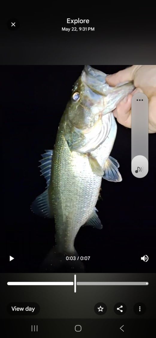Heddon Torpedo Prop-Bait Topwater Fishing Lure with Spinner Action customer photo 2