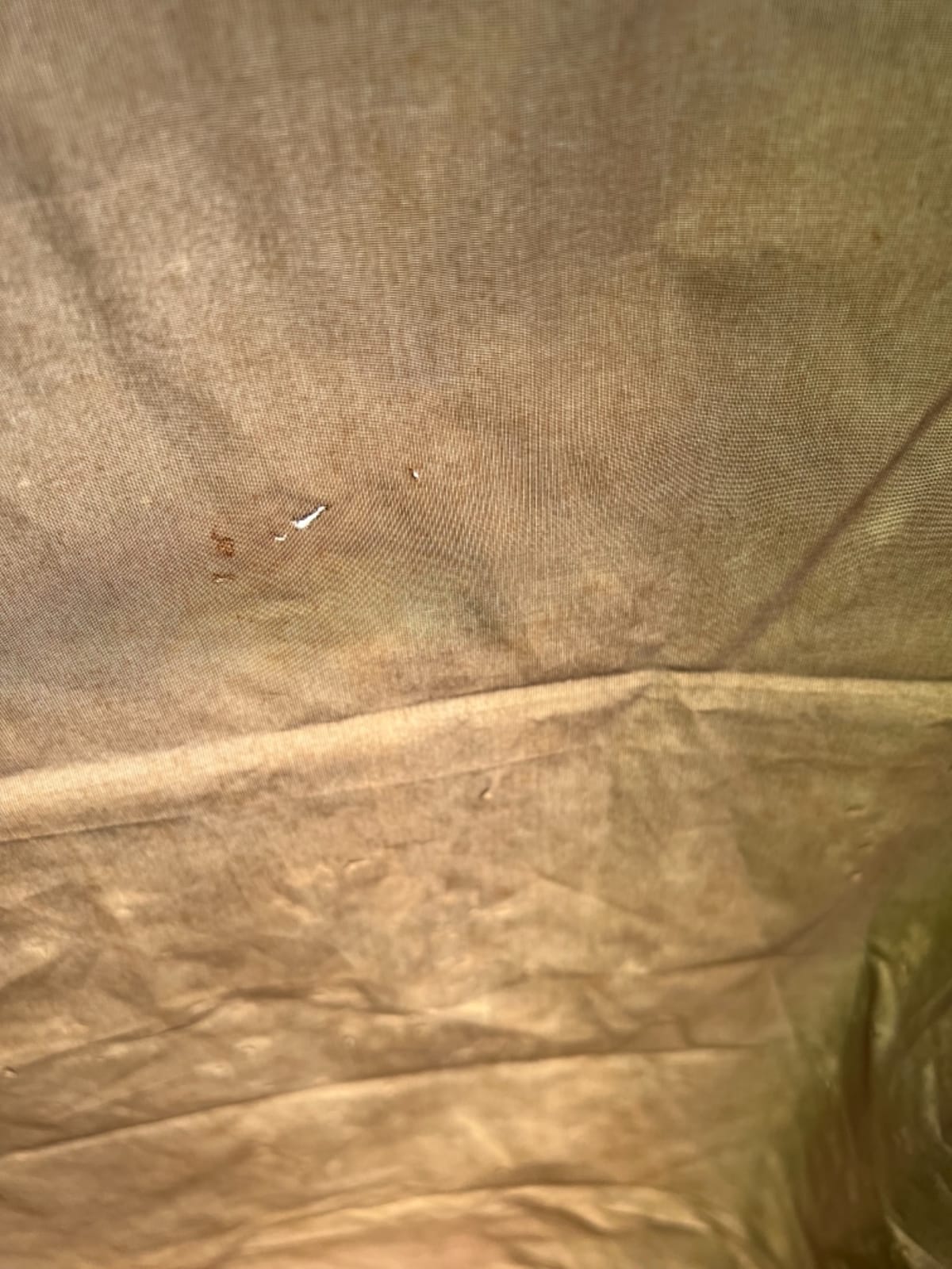 ALPS Mountaineering Tent Footprint, Multiple Sizes, 1500mm Waterproofing, Webbing Loop Attachments customer photo 2