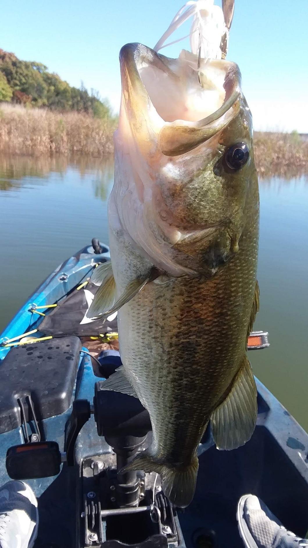 Booyah Blade Spinner-Bait Bass Fishing Lure customer photo 1