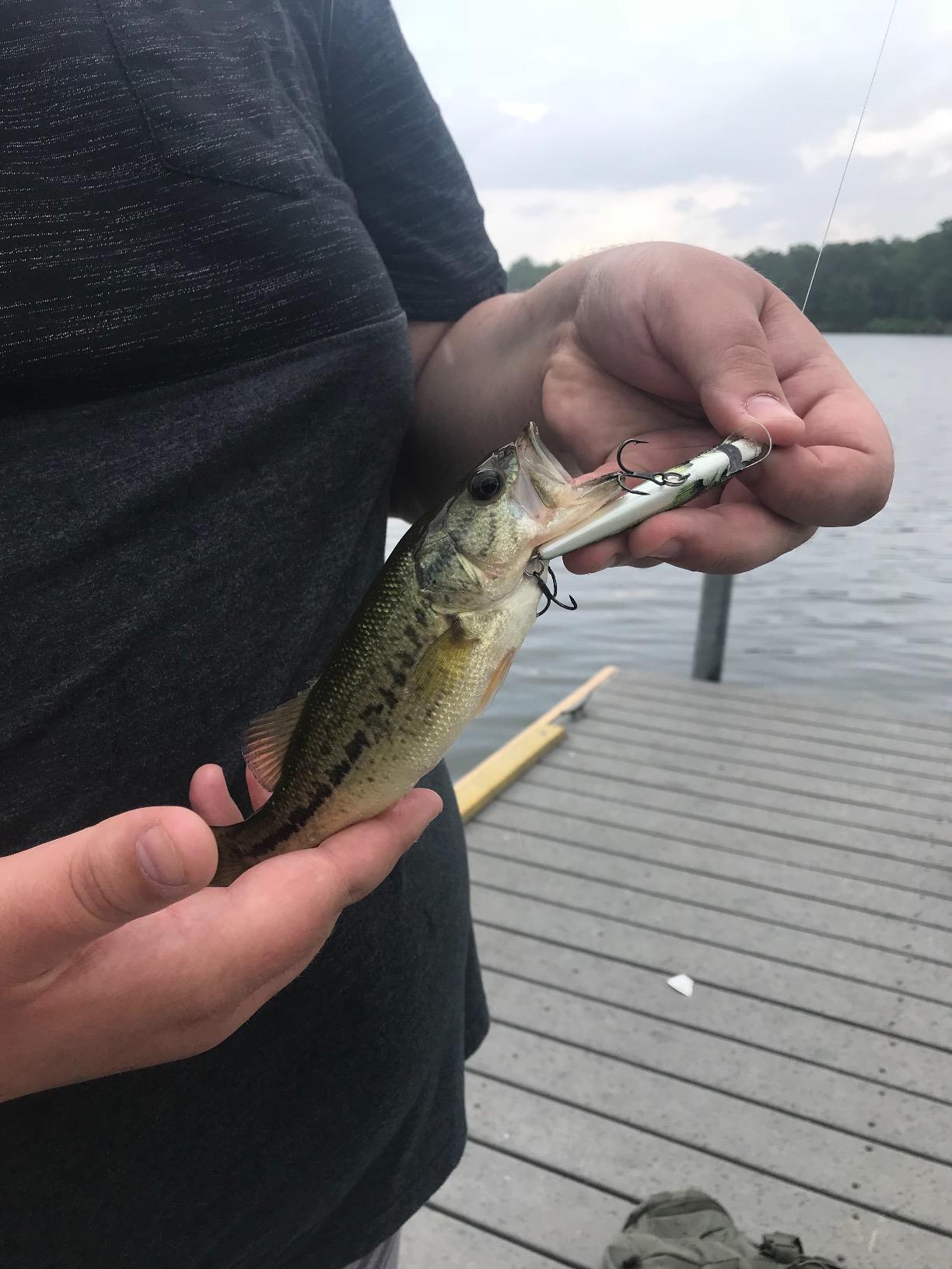 Rapala Husky Jerk Jerkbait - Suspending Hard Bait customer photo 1