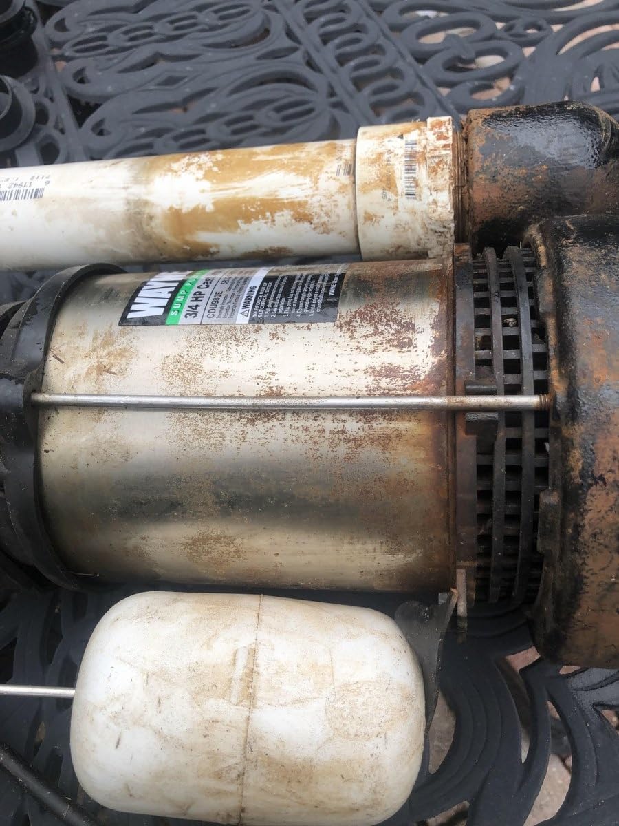 WAYNE CDU980E 3/4 HP Submersible Sump Pump - Cast Iron & Stainless Steel, Vertical Float Switch, 5,490 GPH, 5-Year Warranty customer photo 2