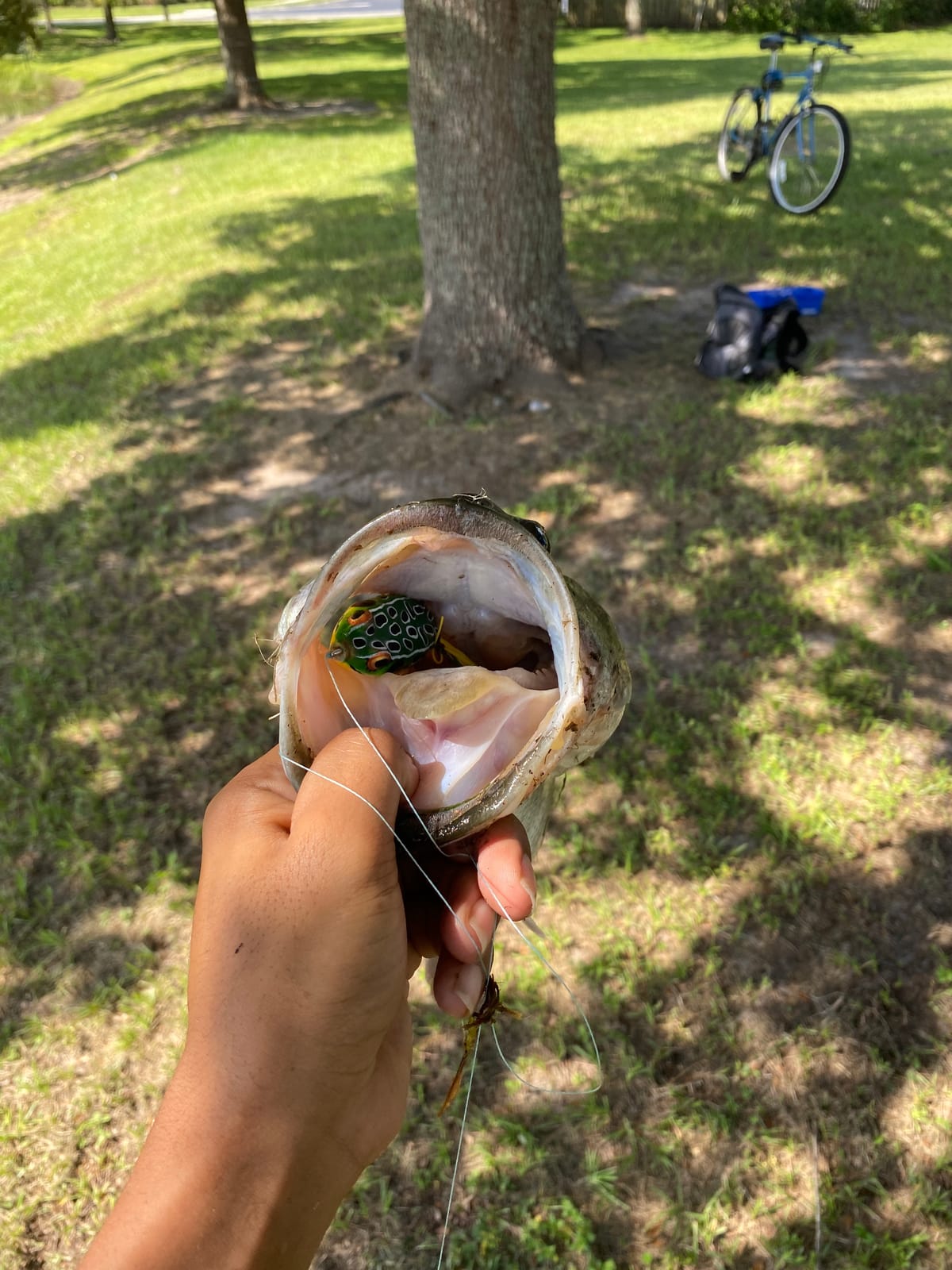 Booyah Pad Crasher Topwater Bass Fishing Hollow Body Frog Lure with Weedless Hooks customer photo 1