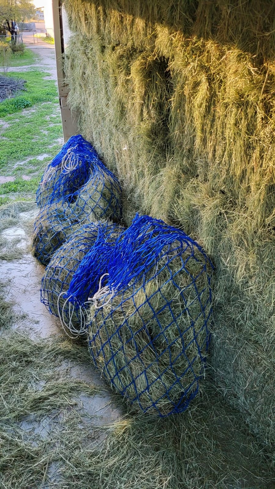 Tough1 Slow Feed Hay Net - Red customer photo 1