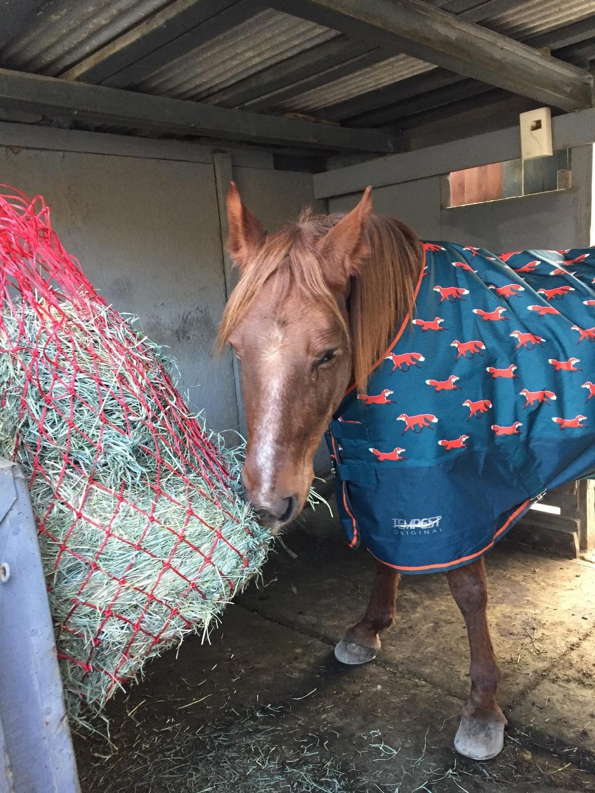 Tough1 Slow Feed Hay Net - Red customer photo 2