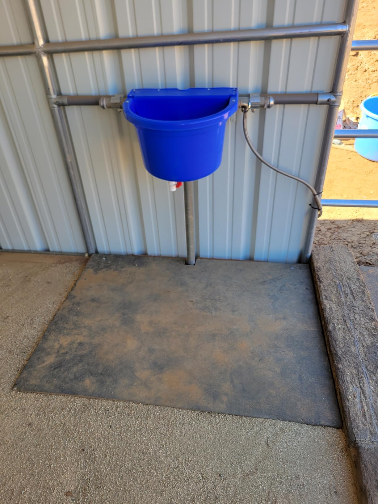 Little Giant Automatic Animal Waterer DuraMate Float Controlled 4 Gallon Blue customer photo 1