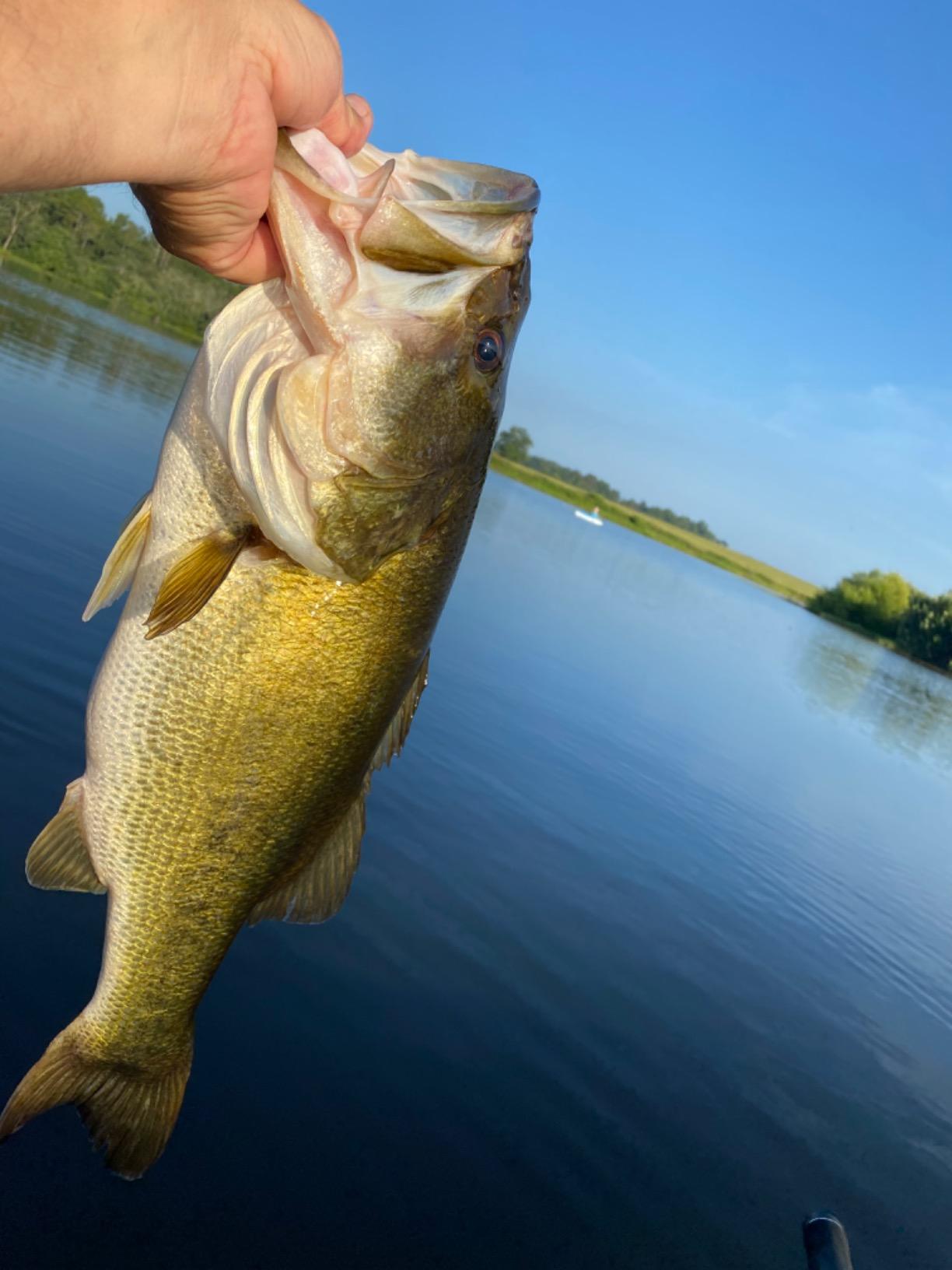 Heddon Chug'N Spook Popper Topwater Fishing Lure for Saltwater and Freshwater customer photo 1